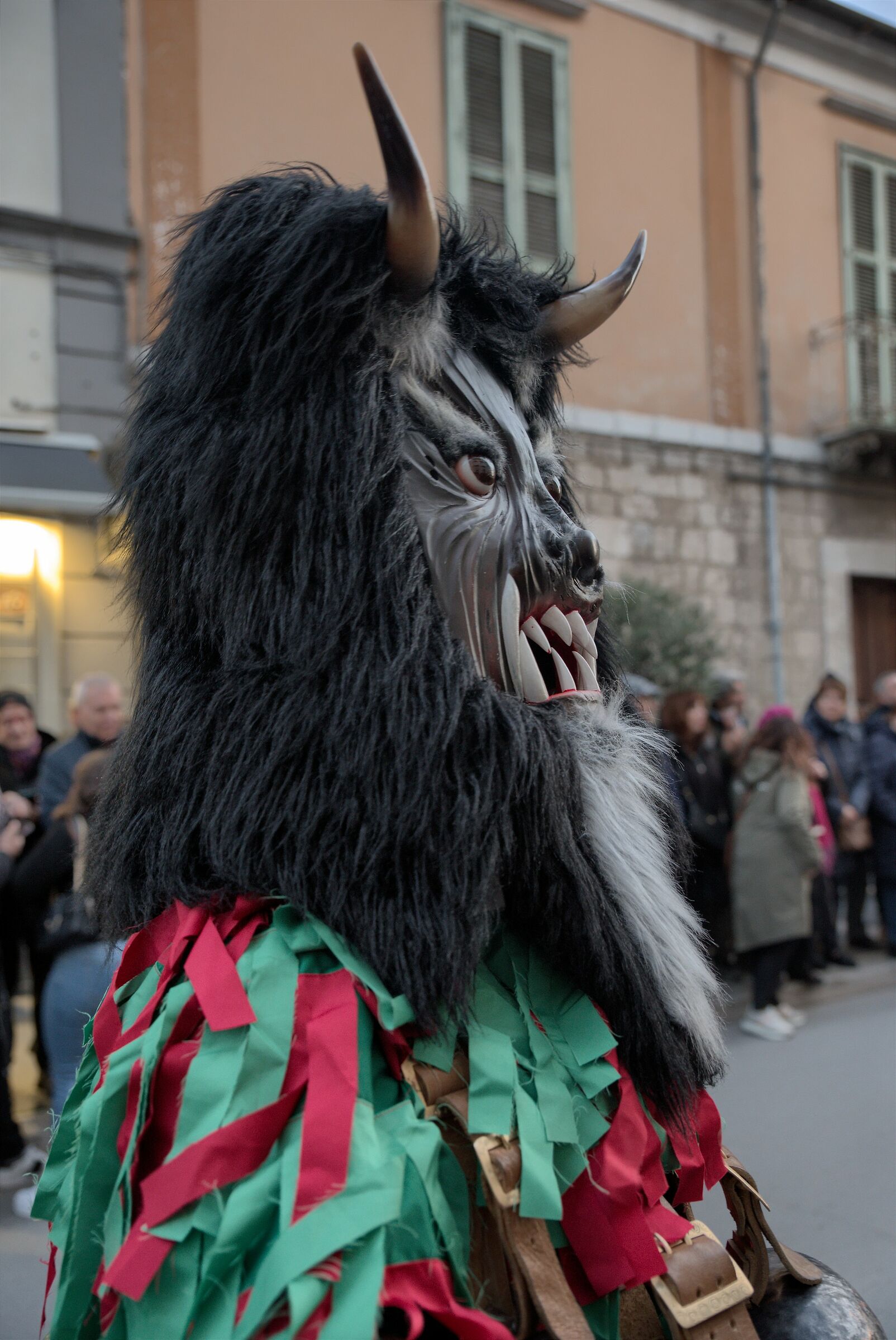 carnevale delle maschere zoomorfe...
