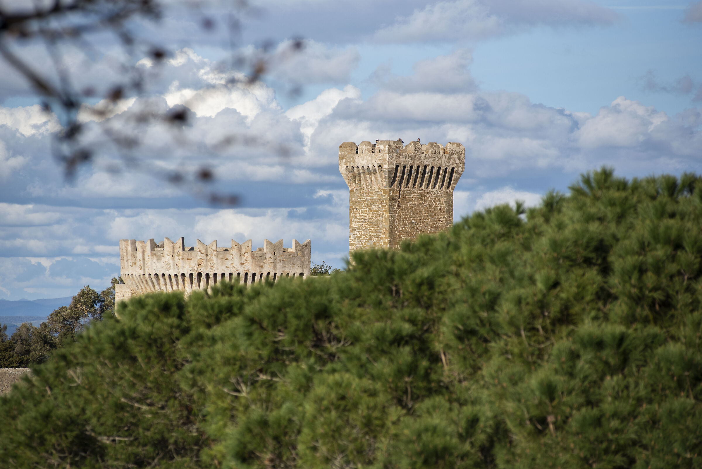 Populonia above the pines...