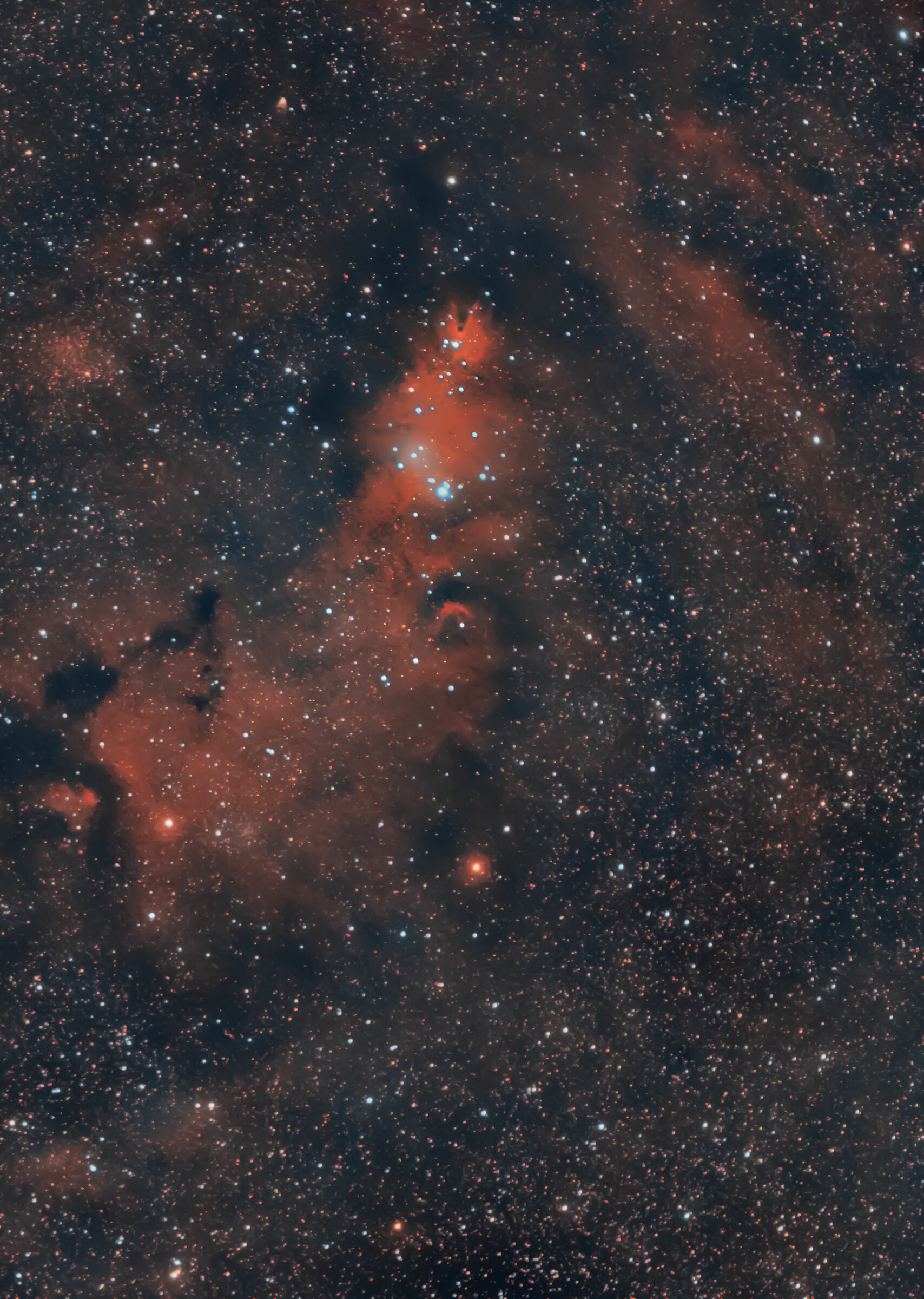 NGC 2264...