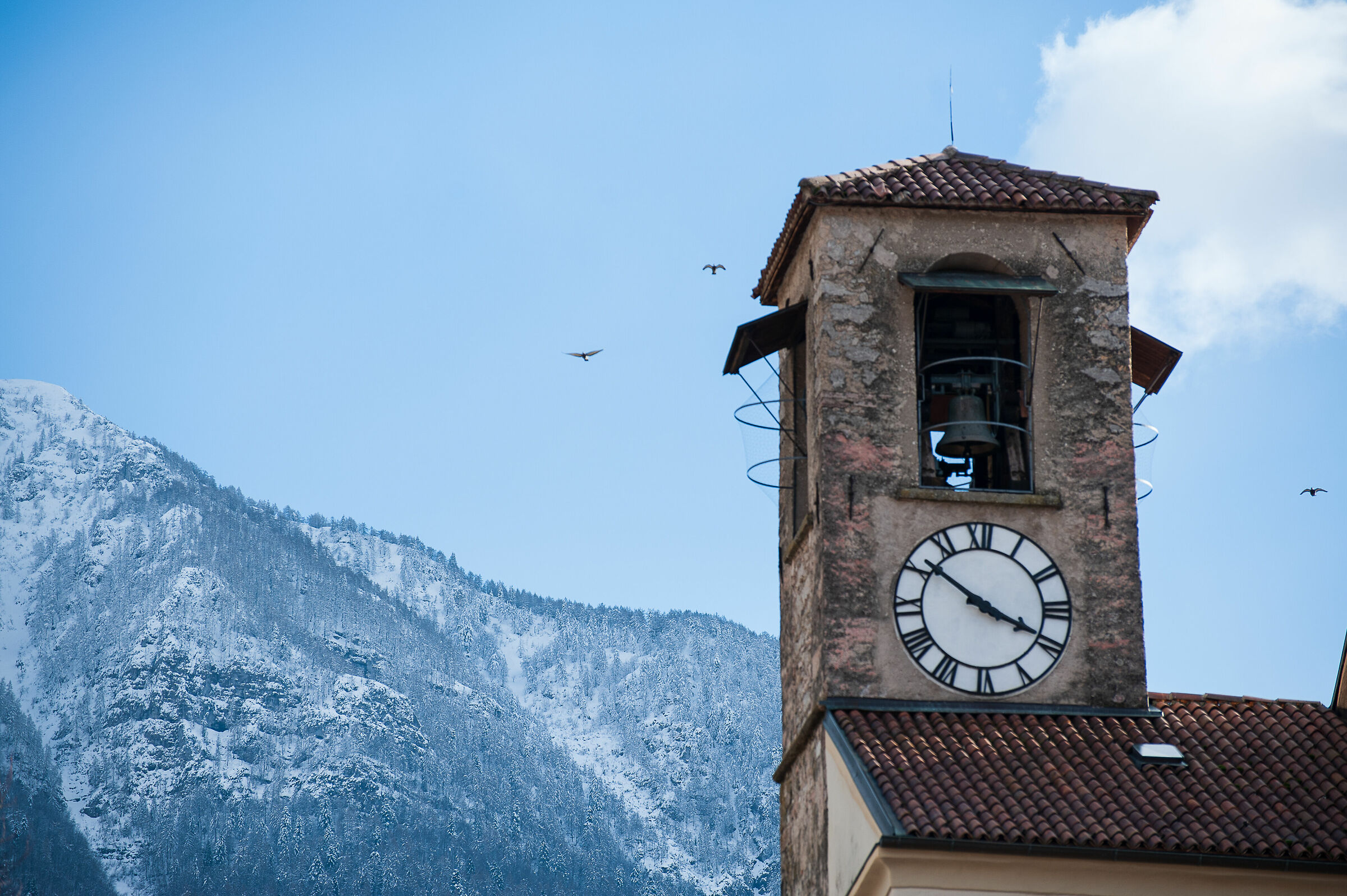 Bell tower in Trentino...