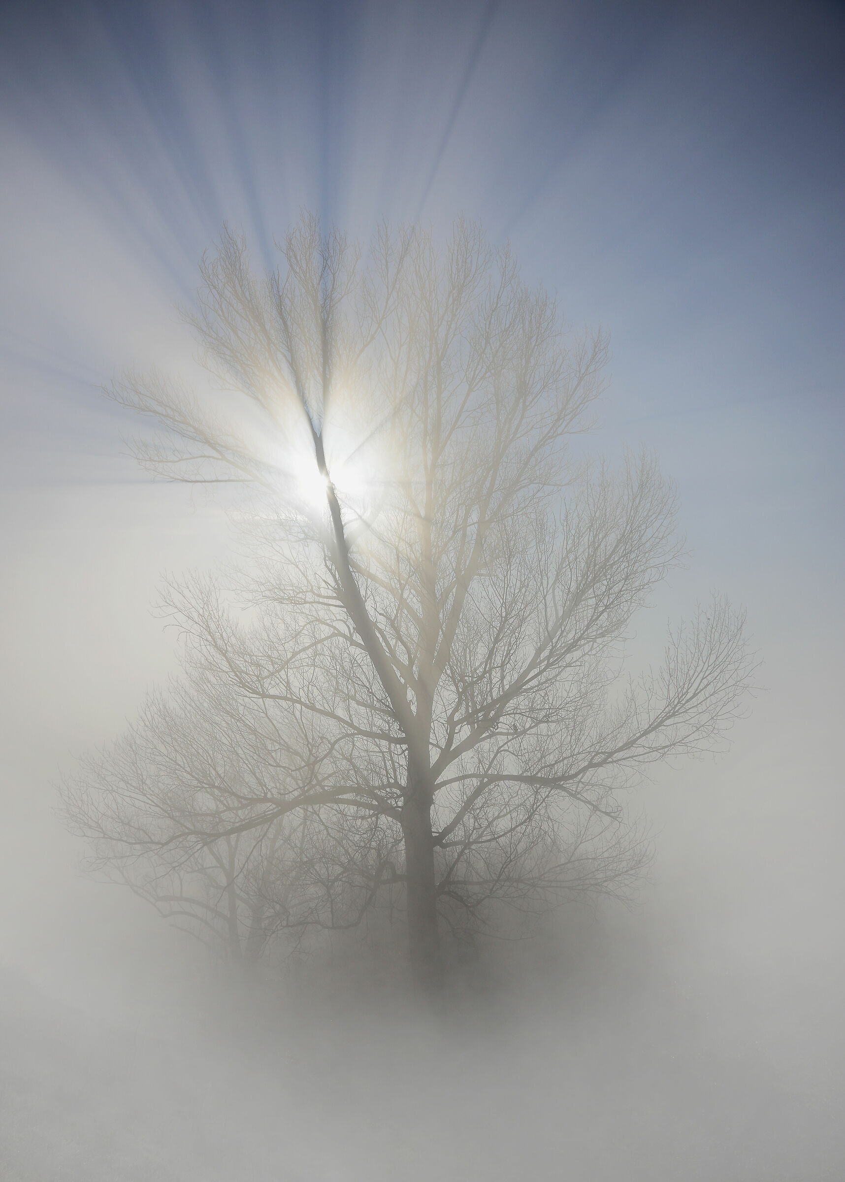 Light in the fog...