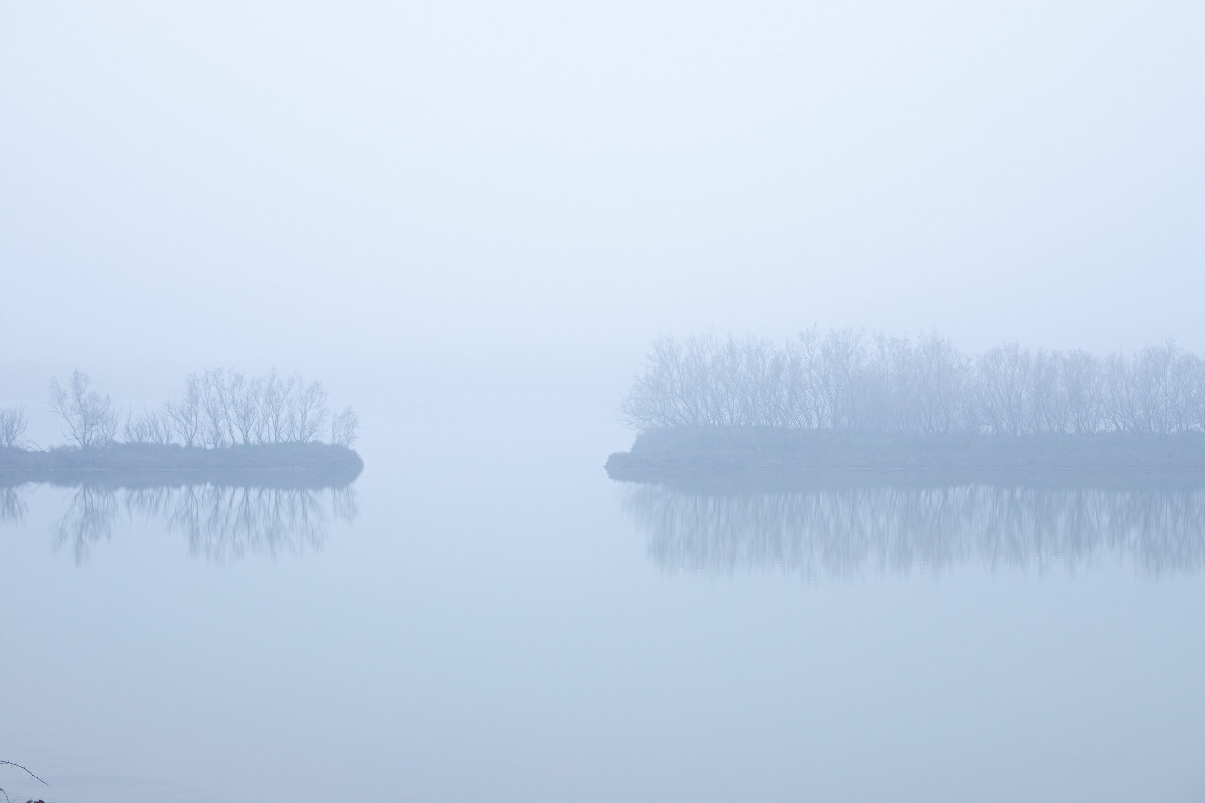 nebbia nel delta del po...