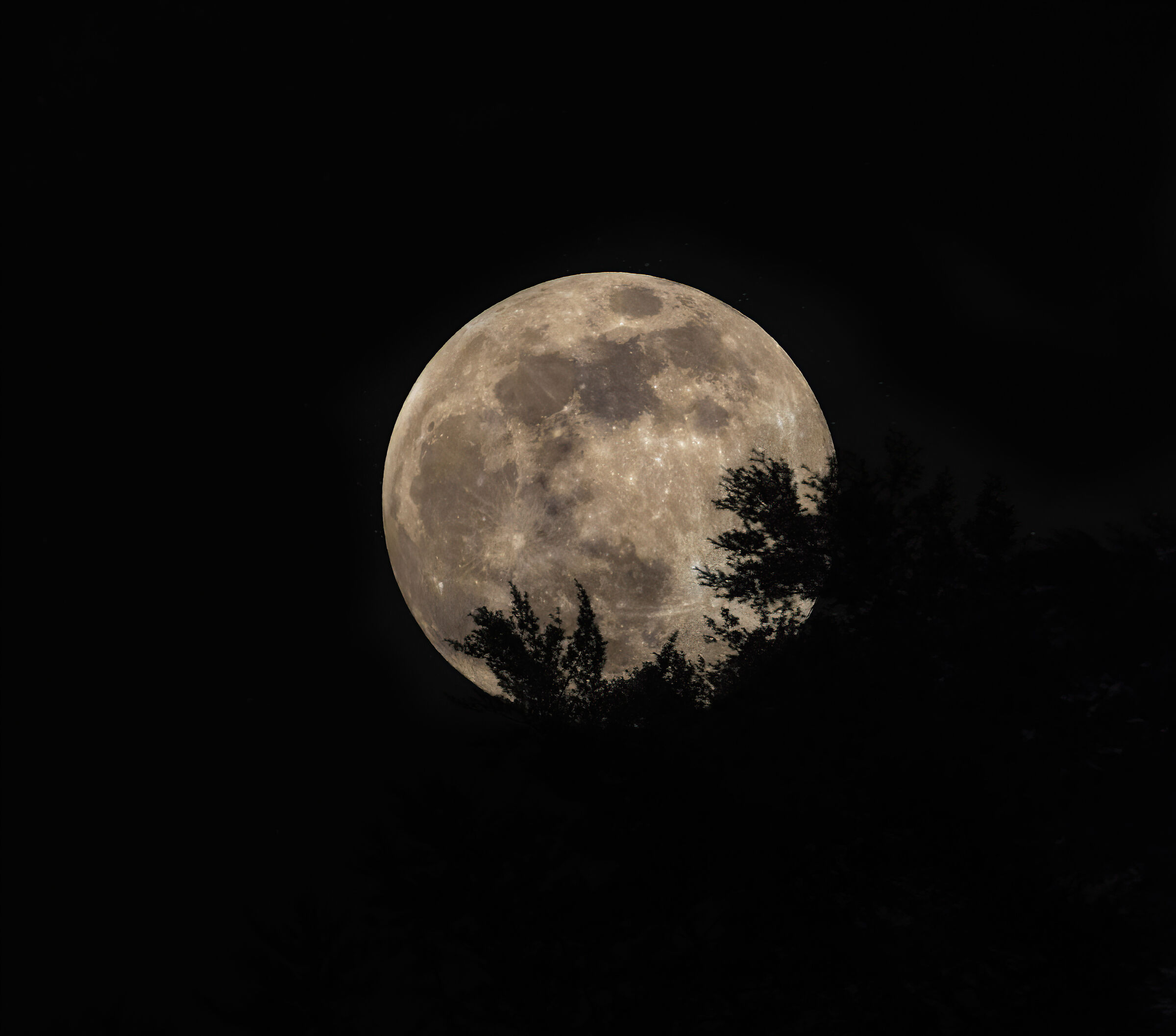 Big Moon Beautiful Moon...