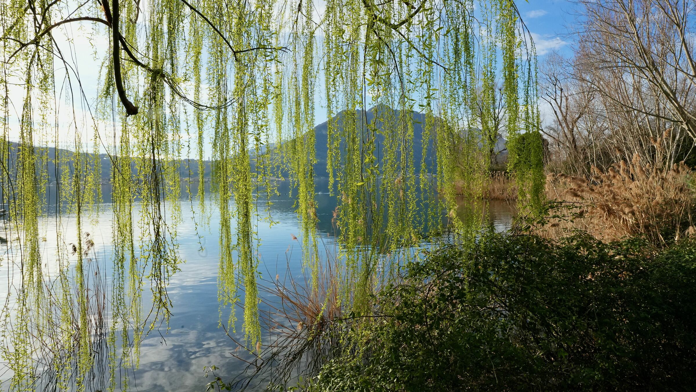 Lago di Garlate, la primavera si avvicina...