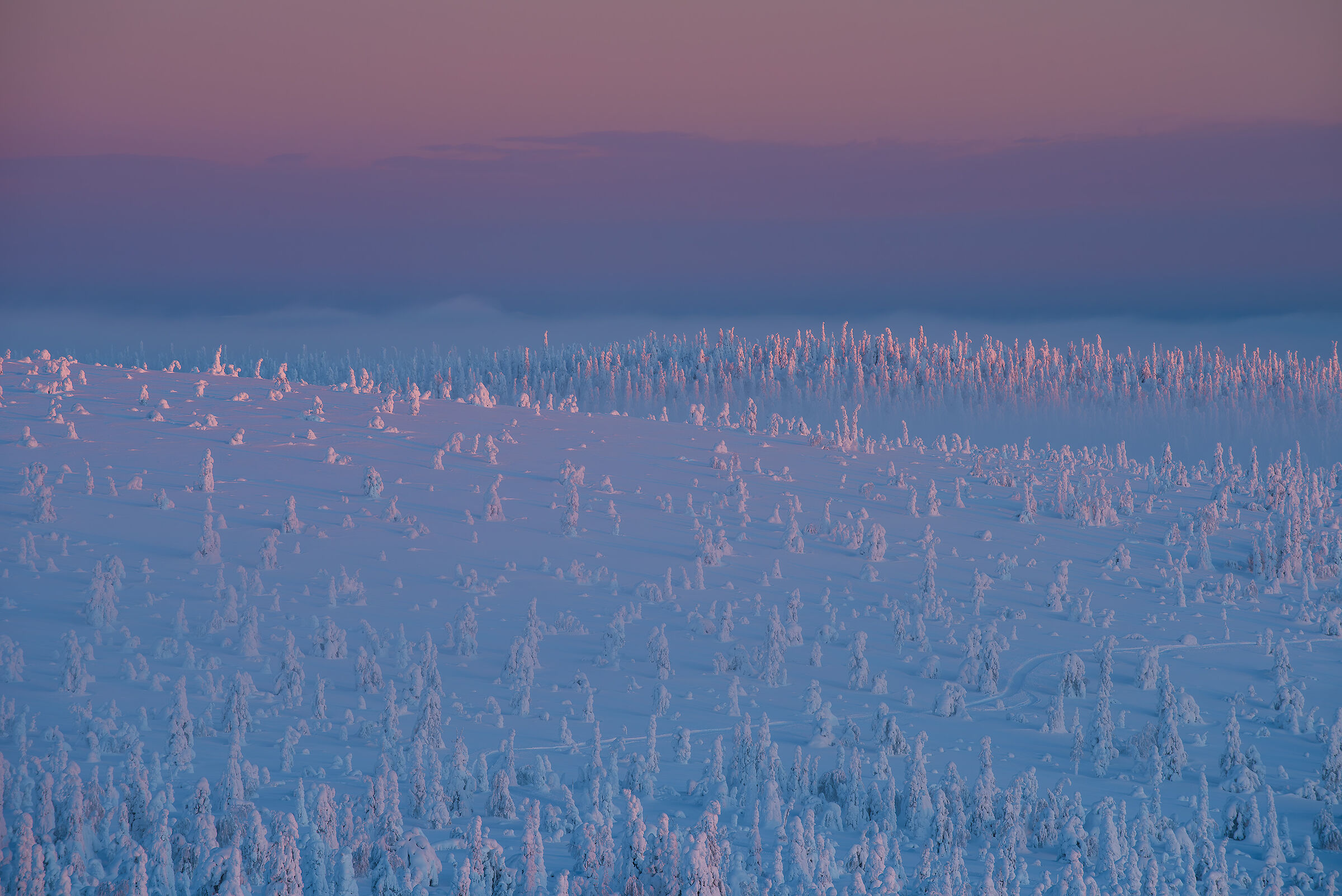Sunrise in Lapland...