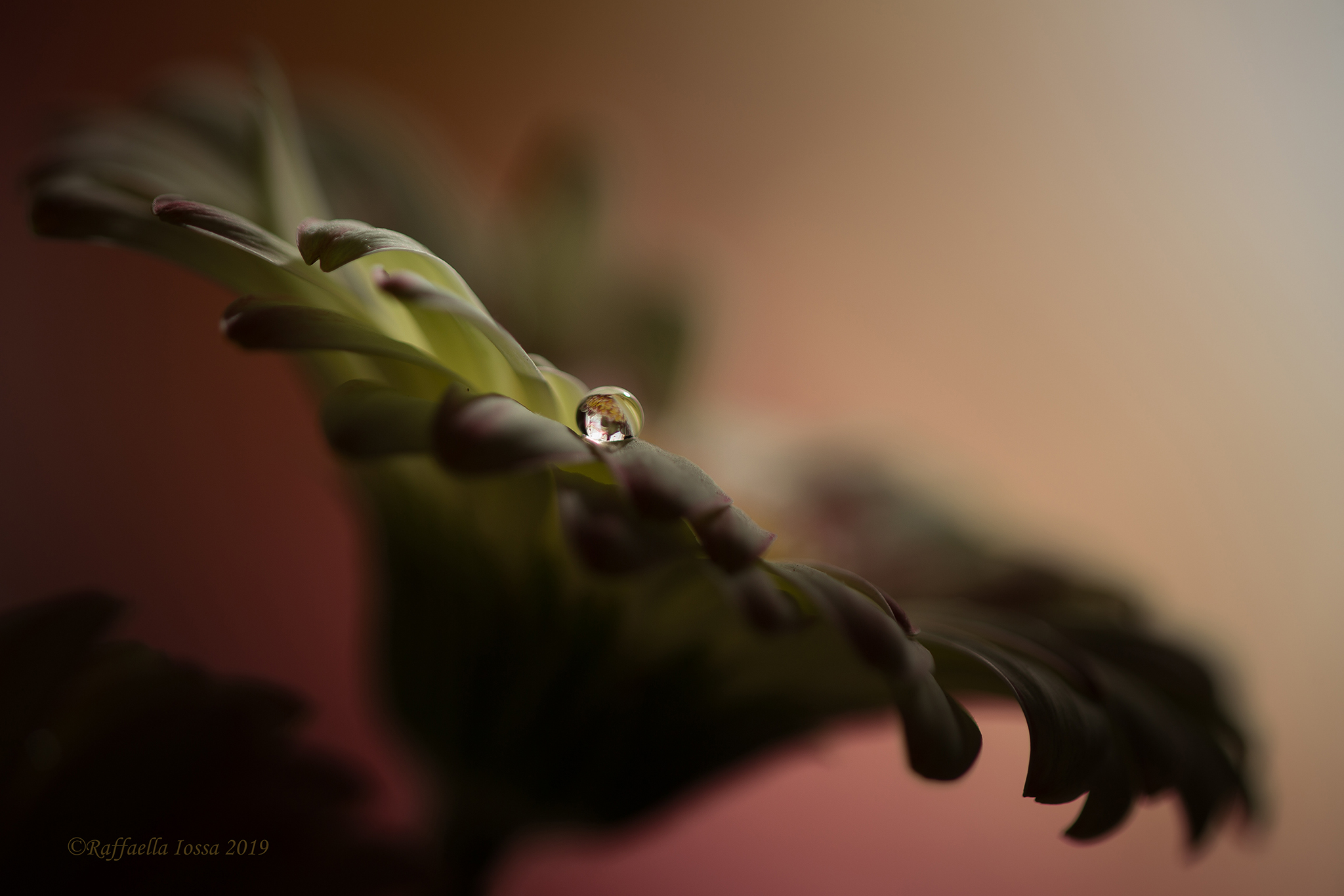 Untitled Photo...