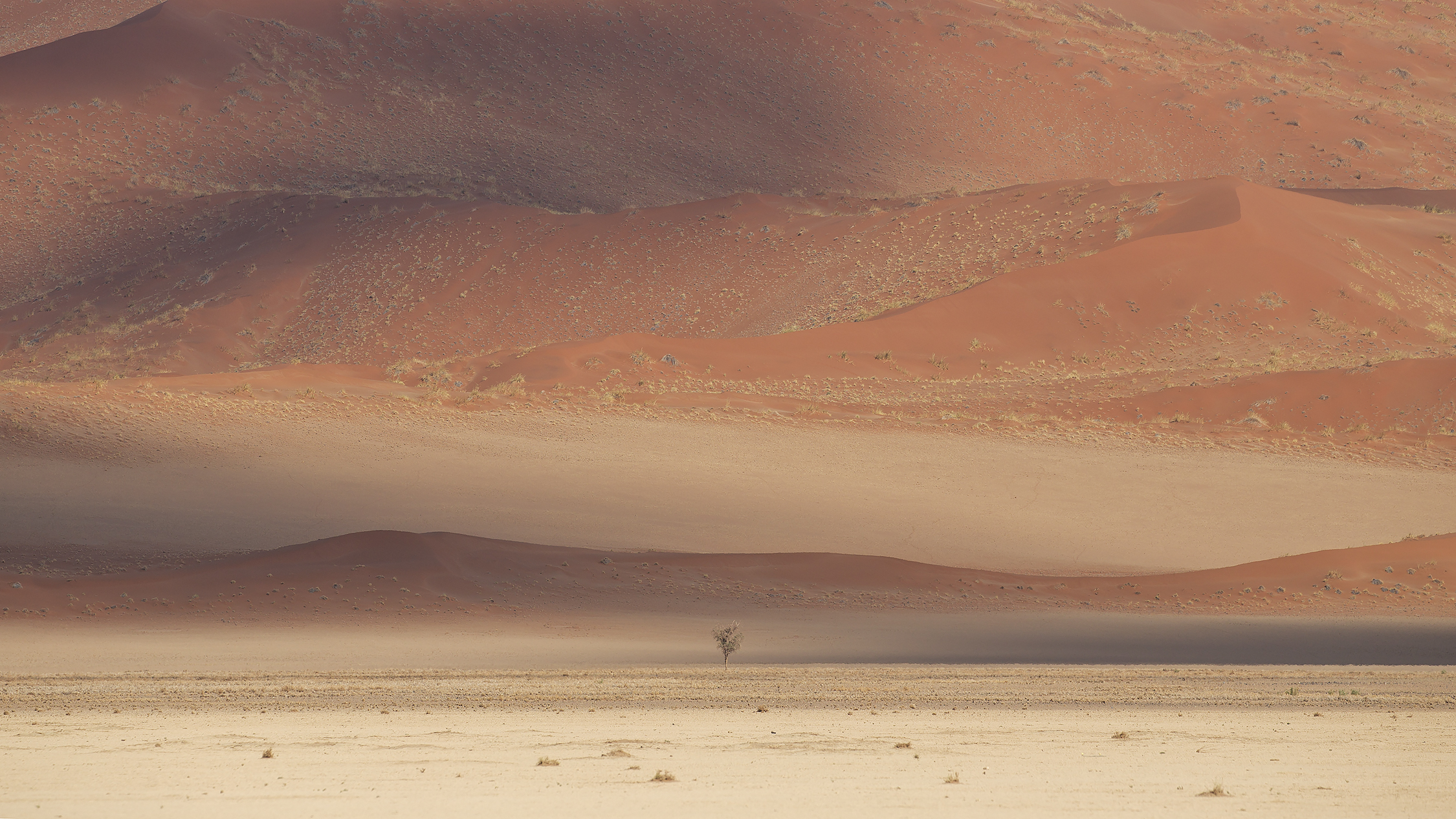 Namib Dunes...