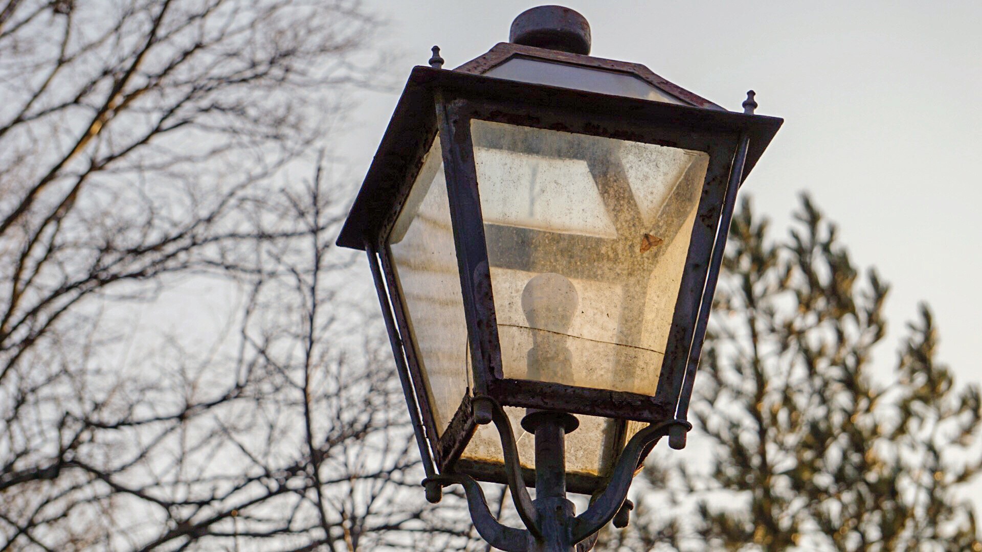 Lamp of Montesenario...