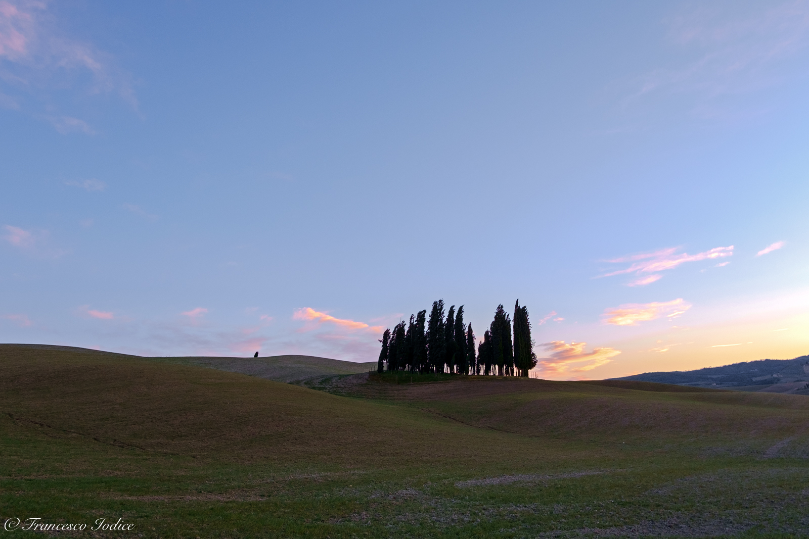 Cypress Trees of San Quirico d'orcia...