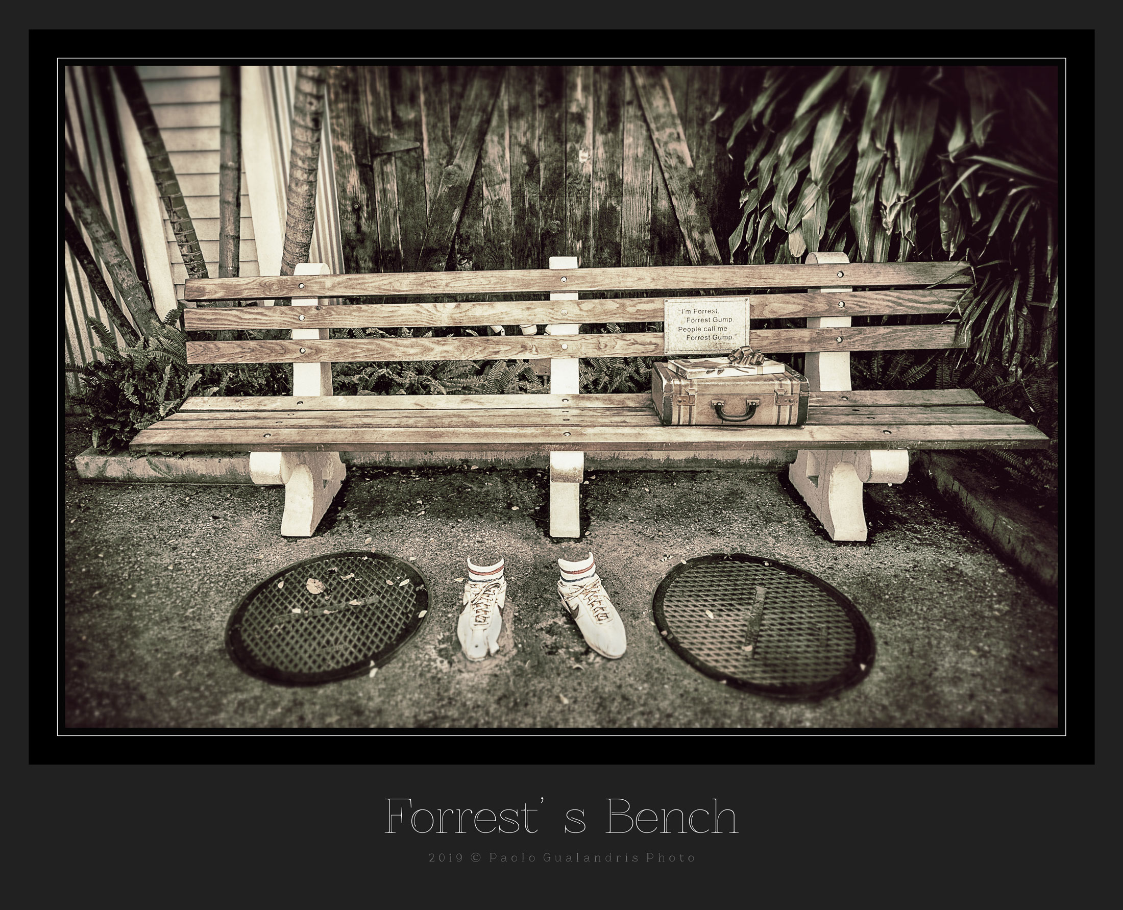 Forrest's Bench...