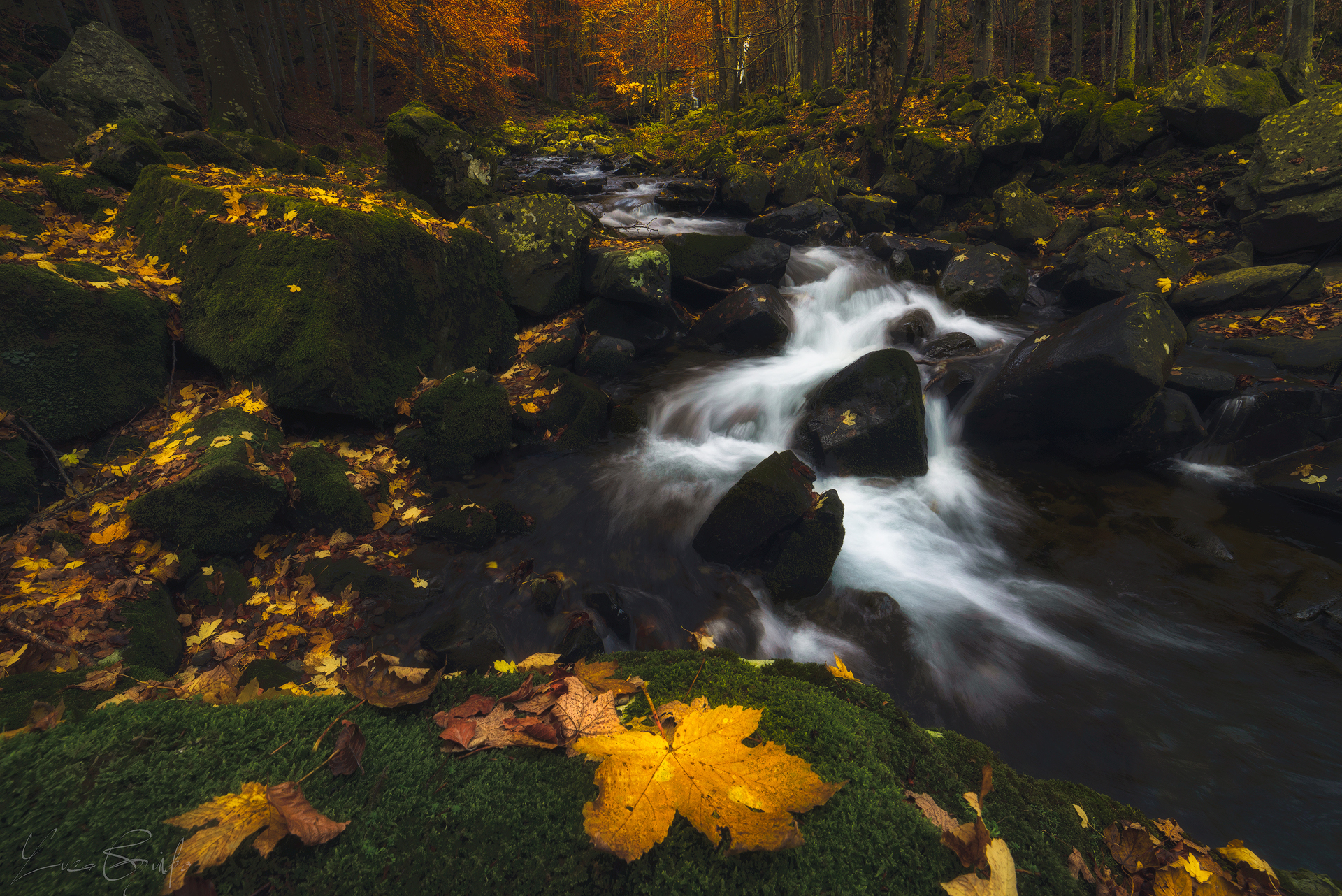 Yellow Fable...