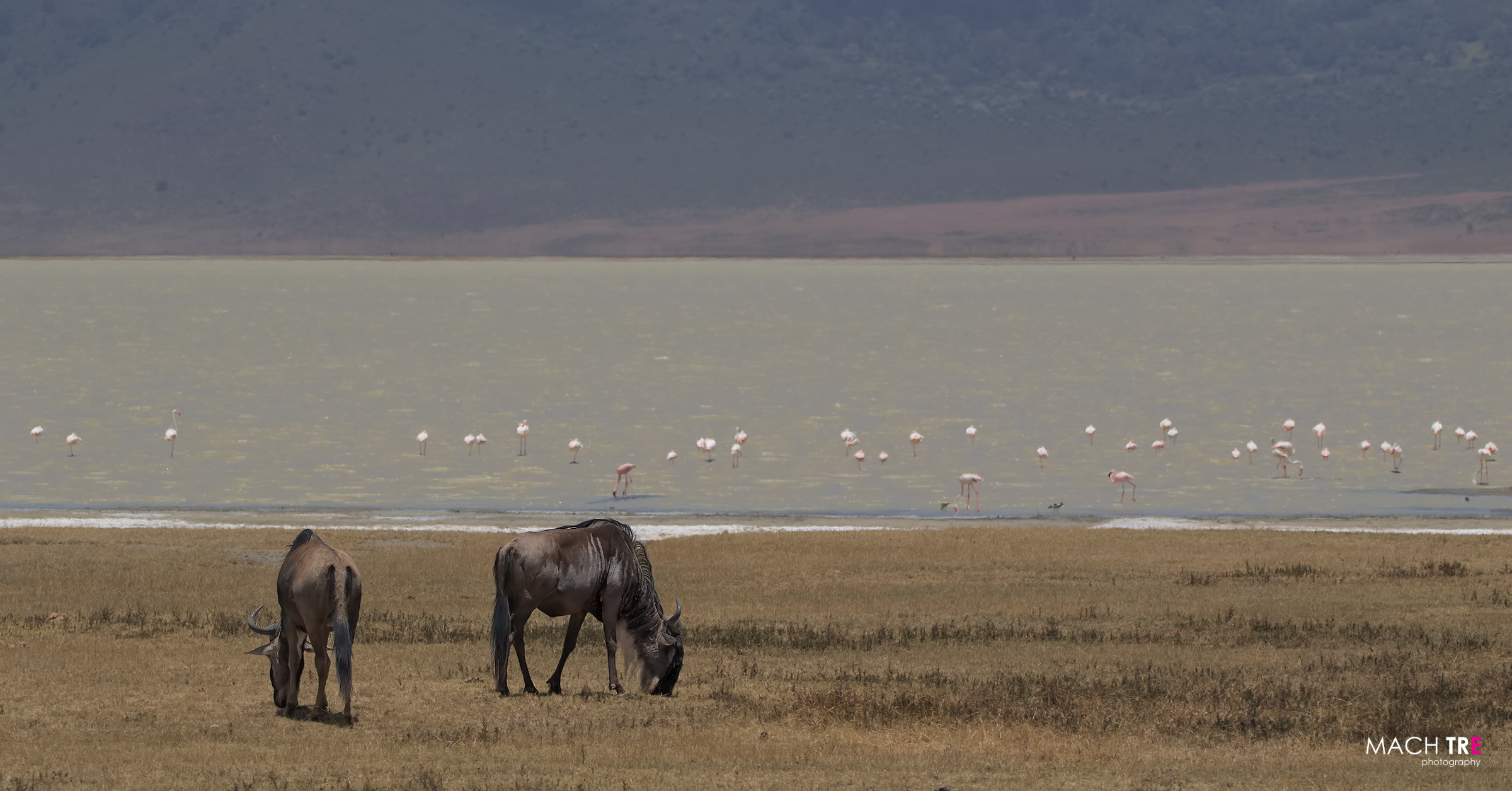 Ngorongoro...