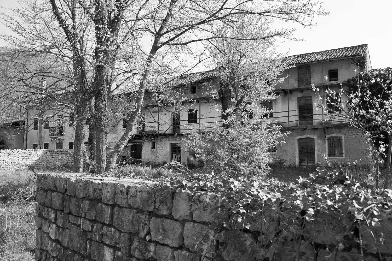 gli alberi rifioriranno - vecchie case a Gorgazzo...