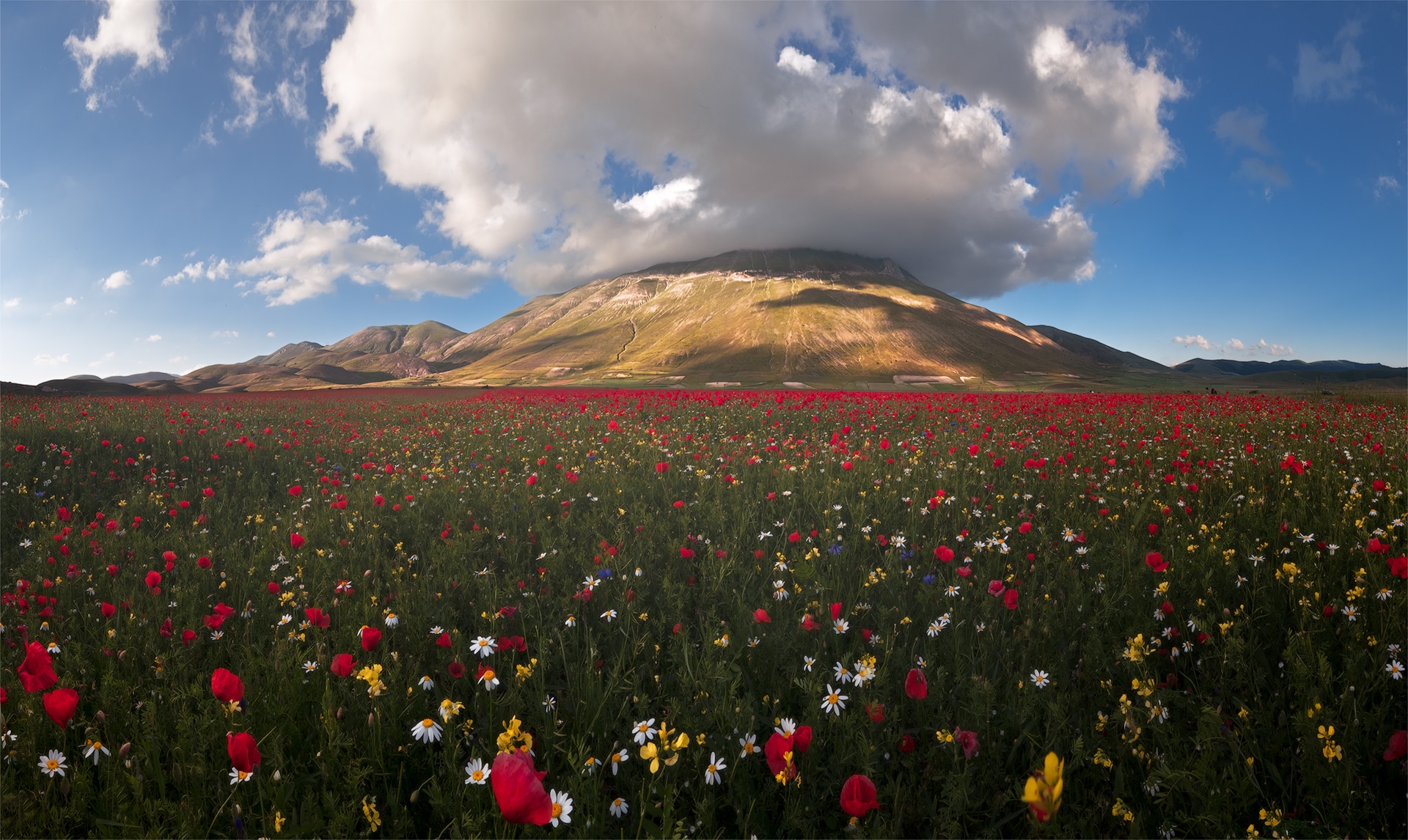 La Fioritura di Castelluccio di Norcia...