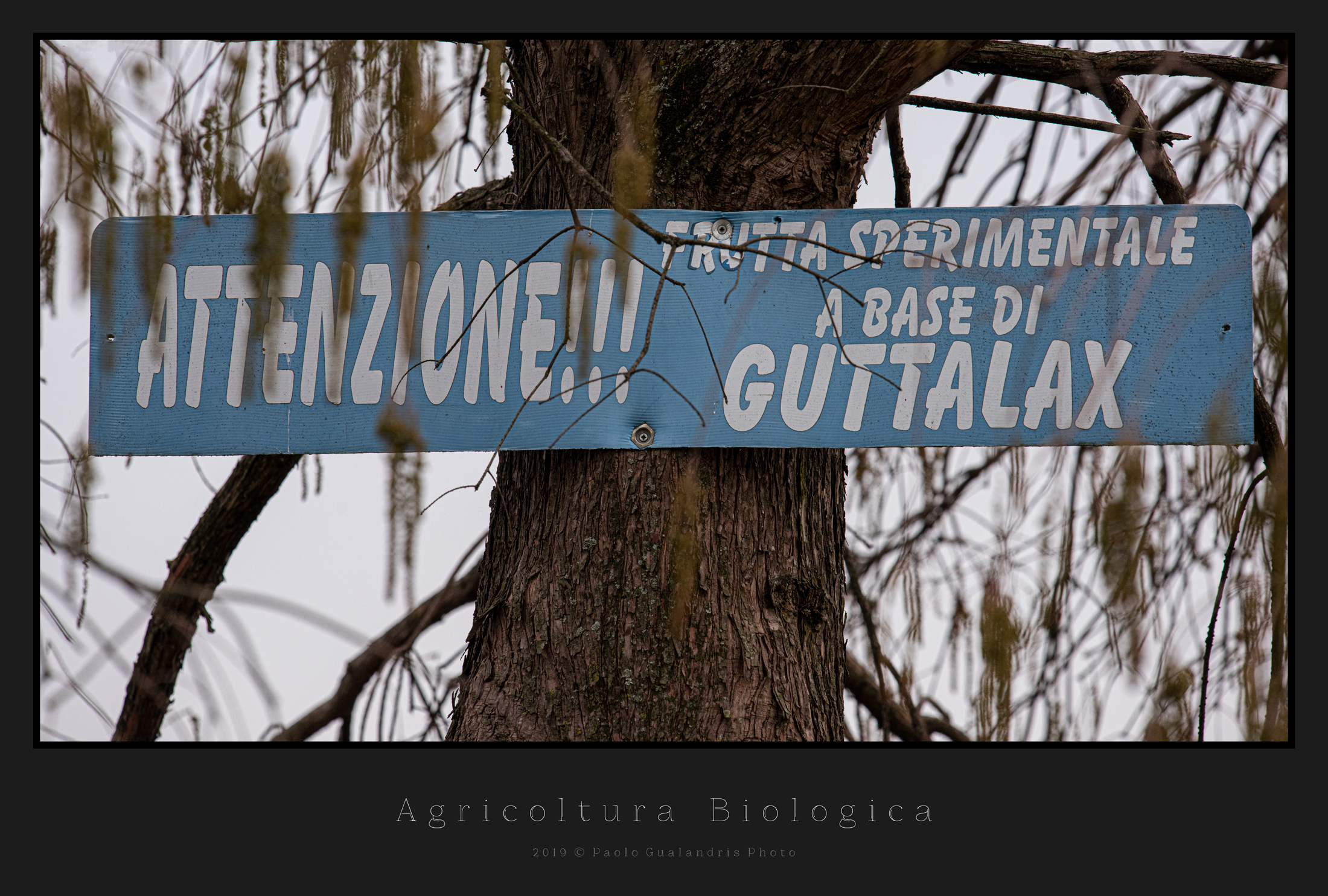Agricoltura Biologica...