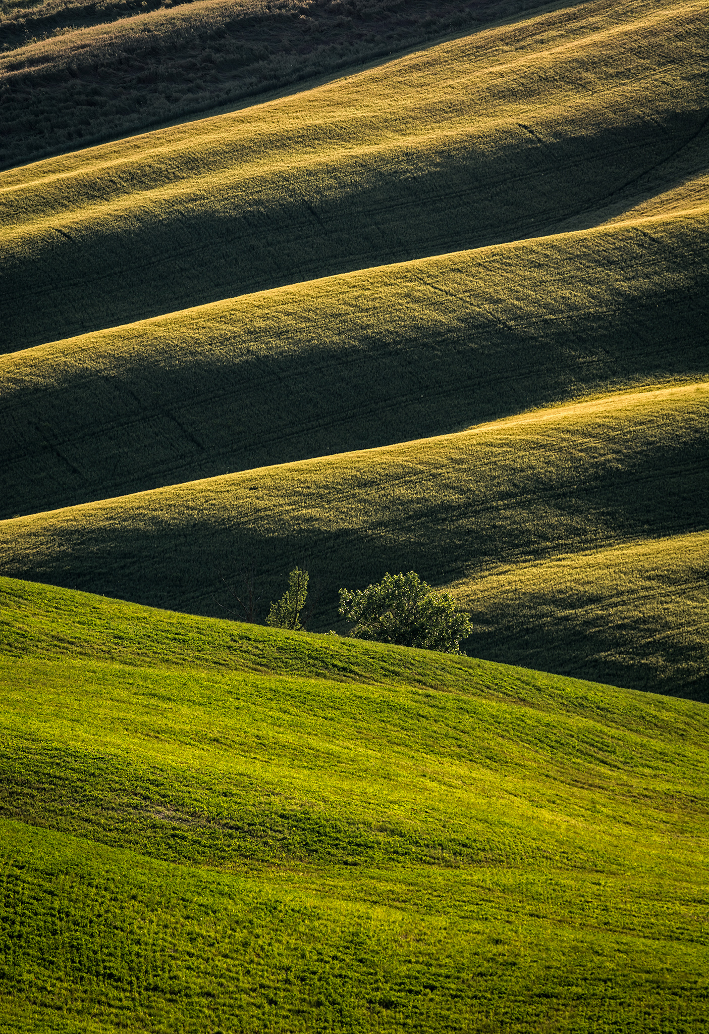 colline in val d'orcia...