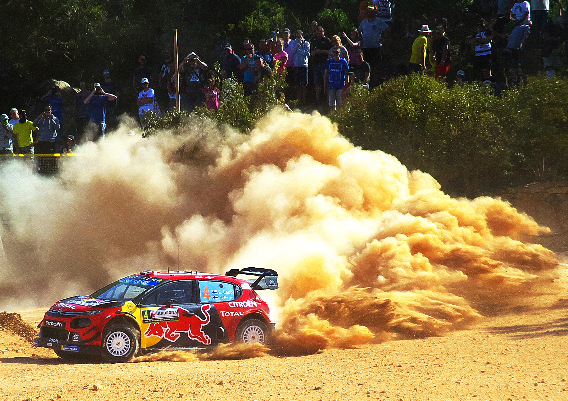 WRC Shakedown...
