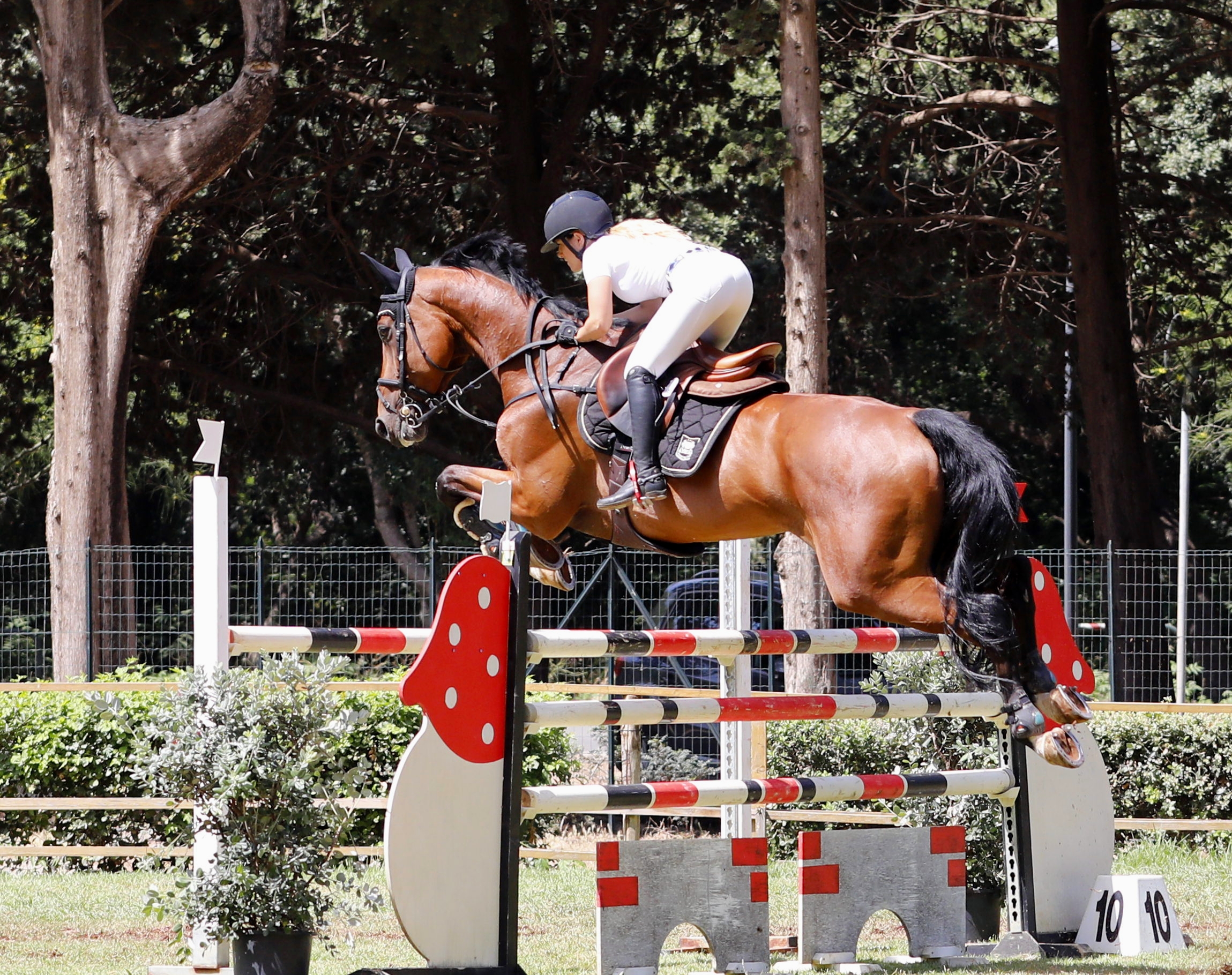 Equestrian Competition at the Favorite of Palermo 16 June 2019...
