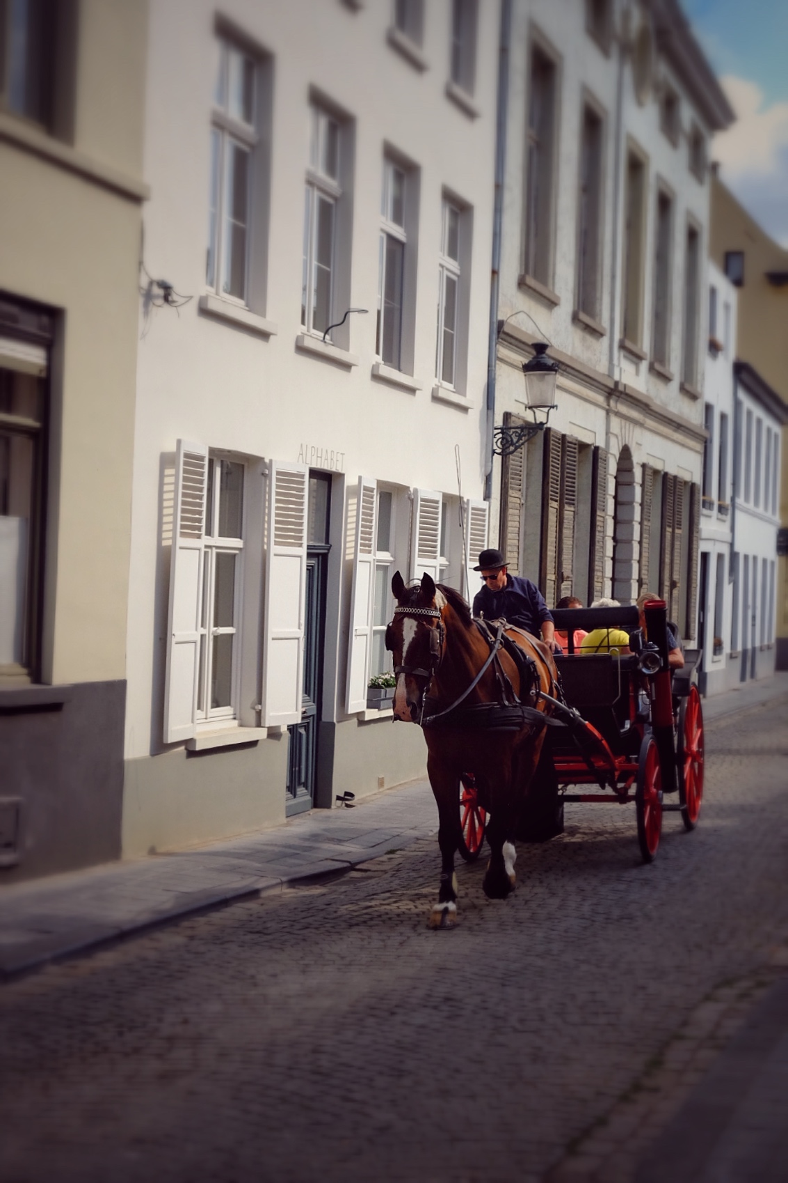 Horse.. Brugge...