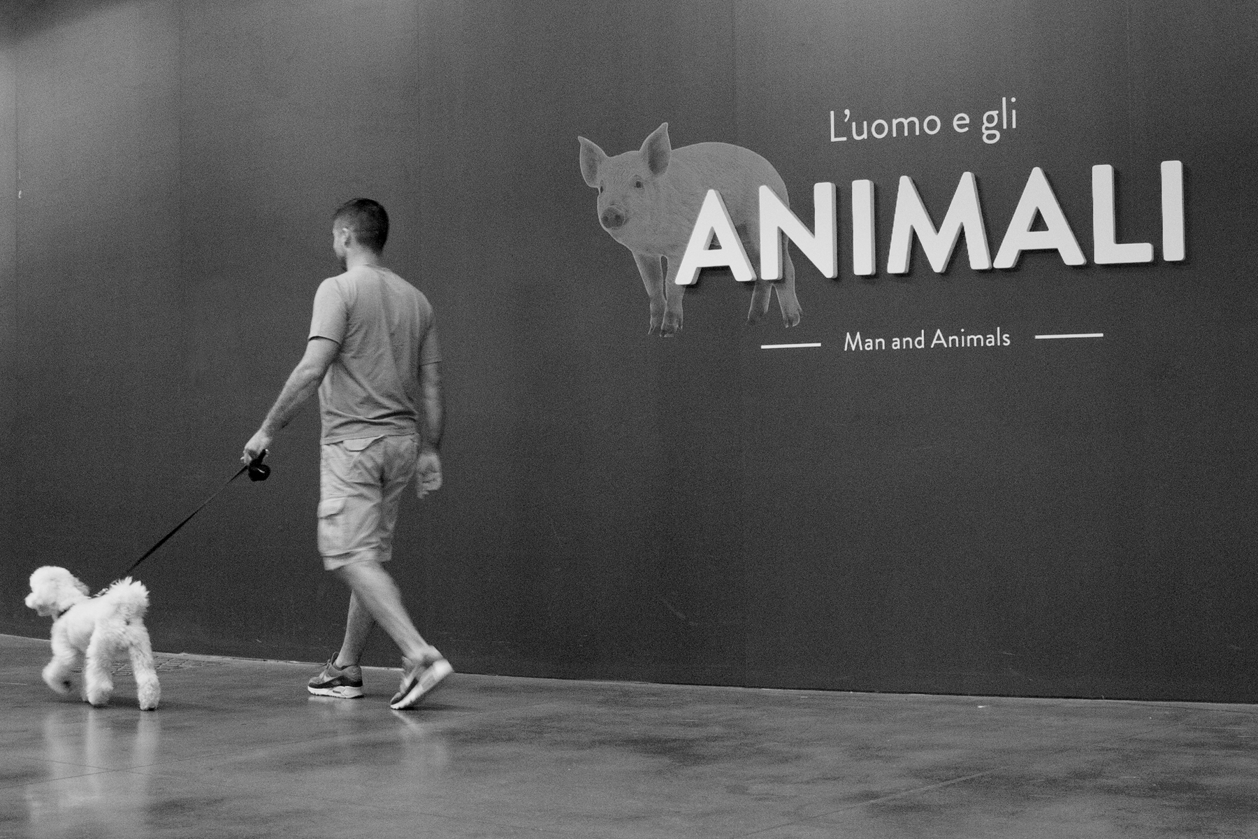 Man and animals...