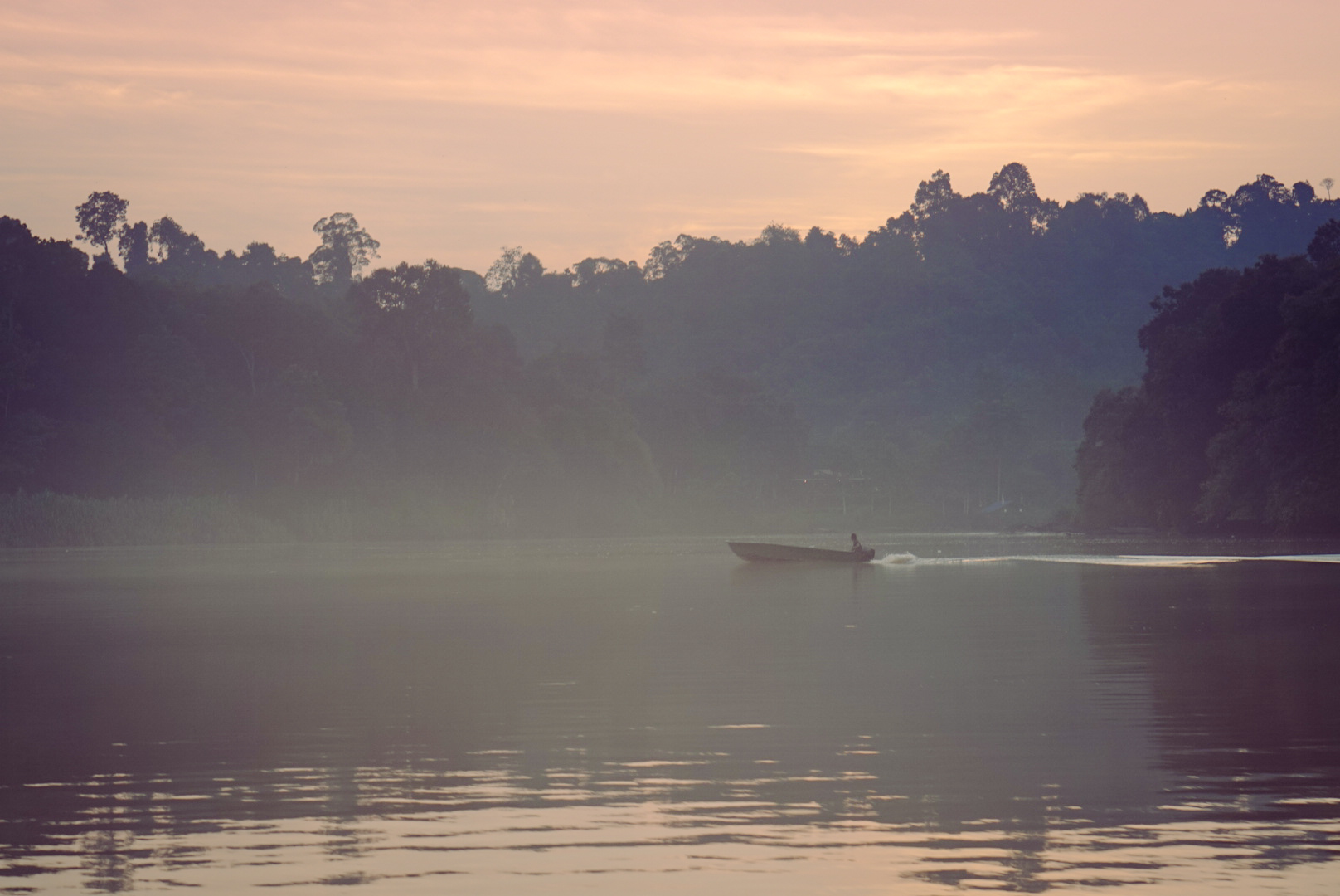 Borneo - kinabatangan river...