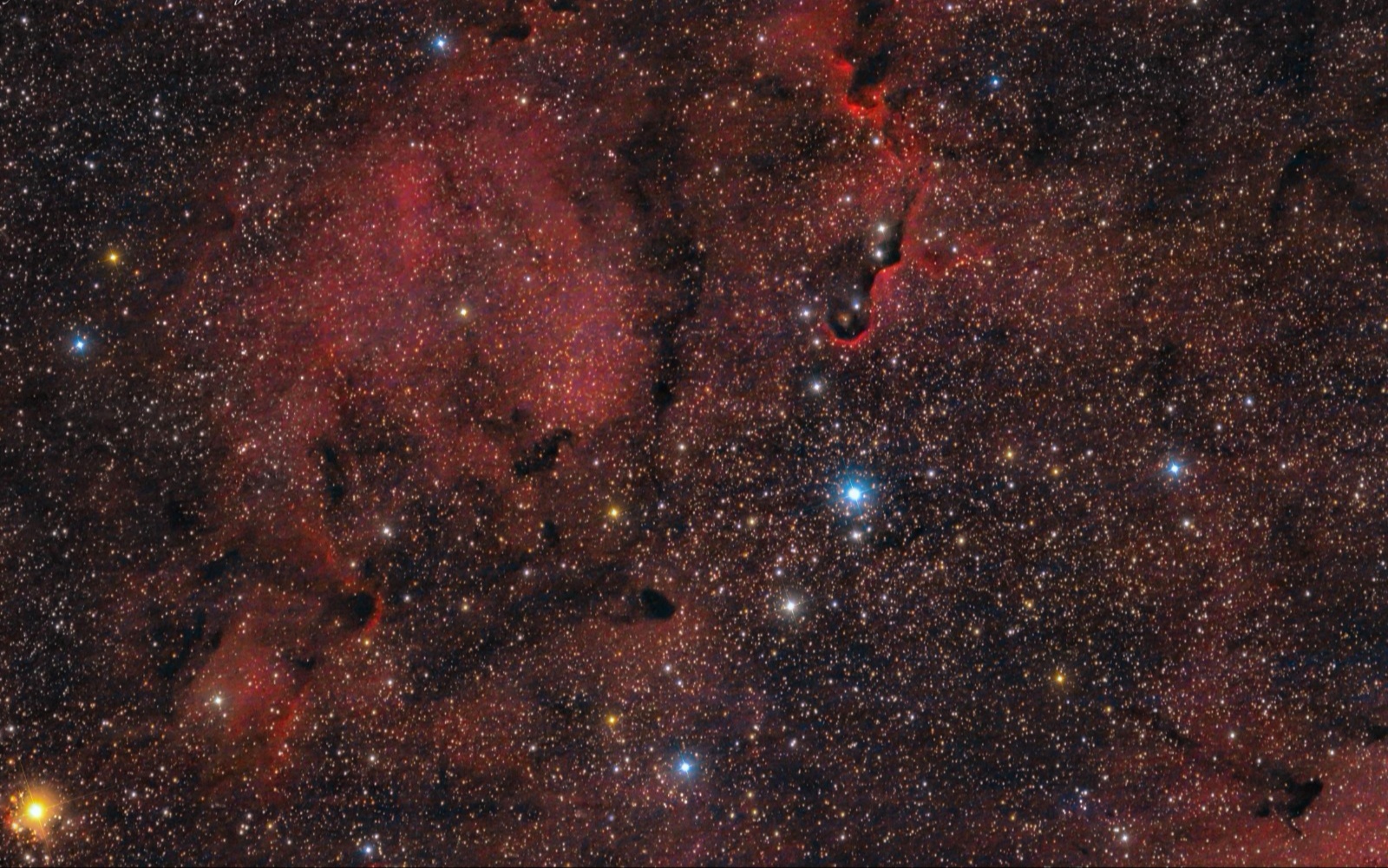 Part of the IC1396 and trunk nebula complex...