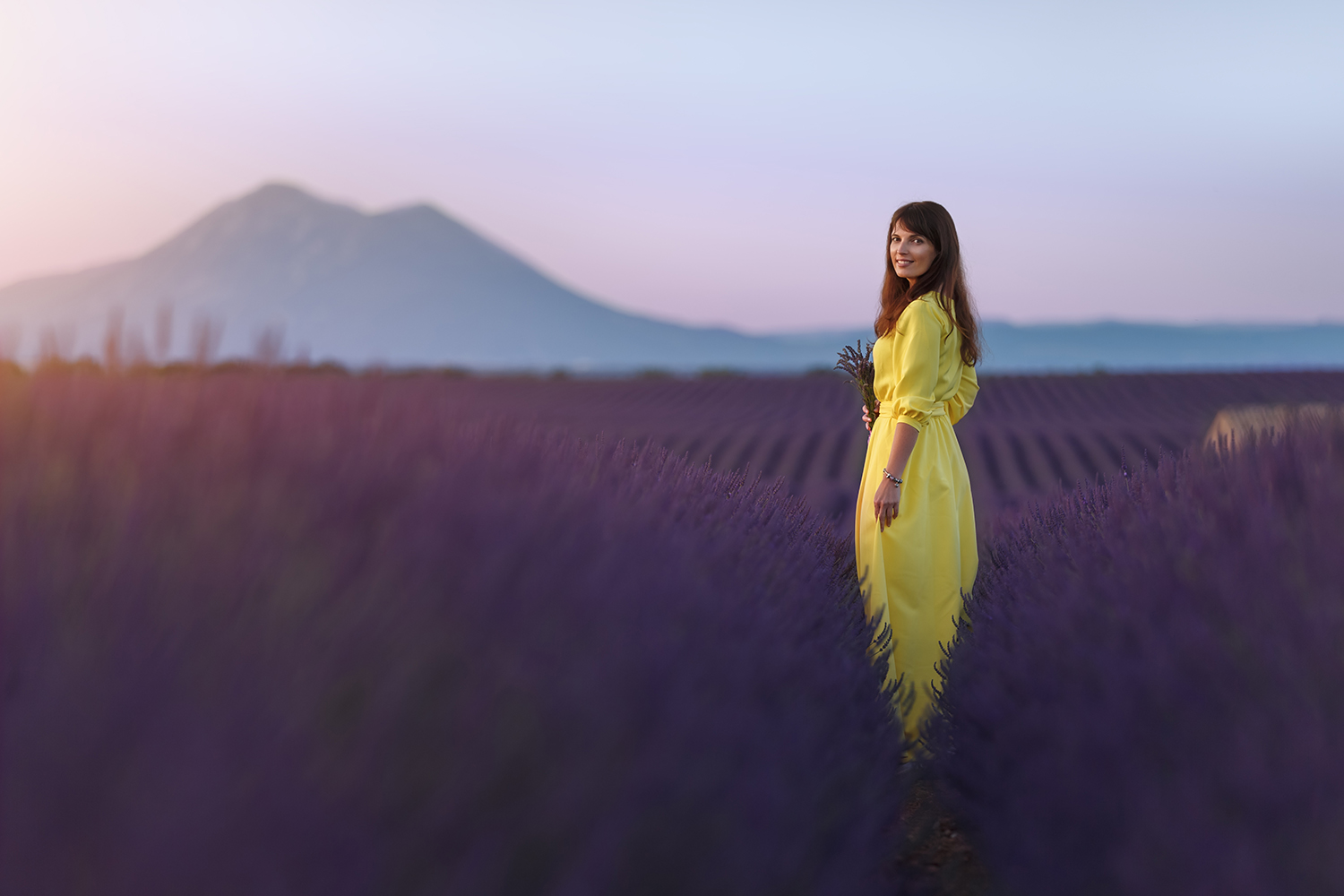 My lavender sunrise...