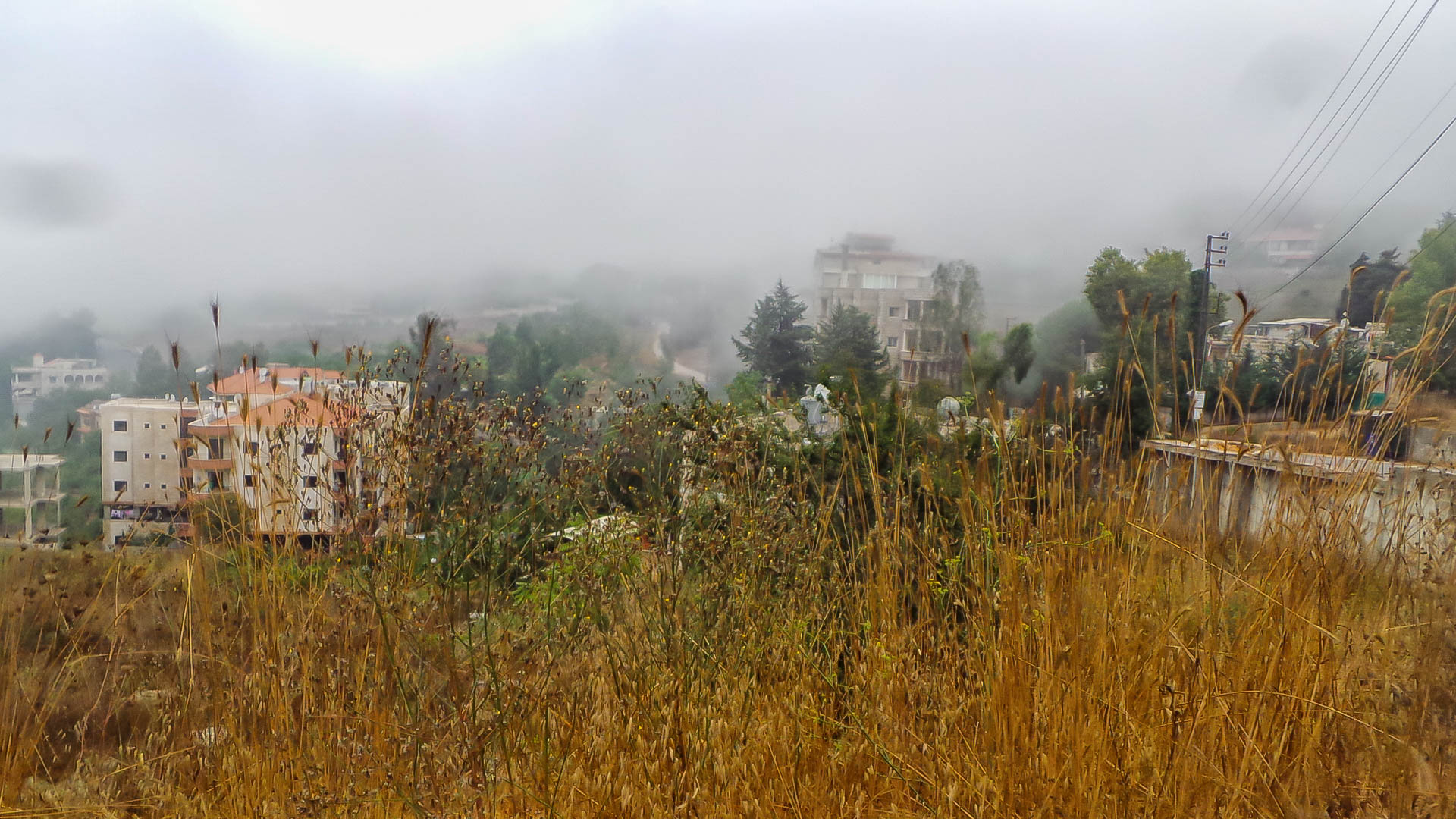 The Mist in Aaleh...