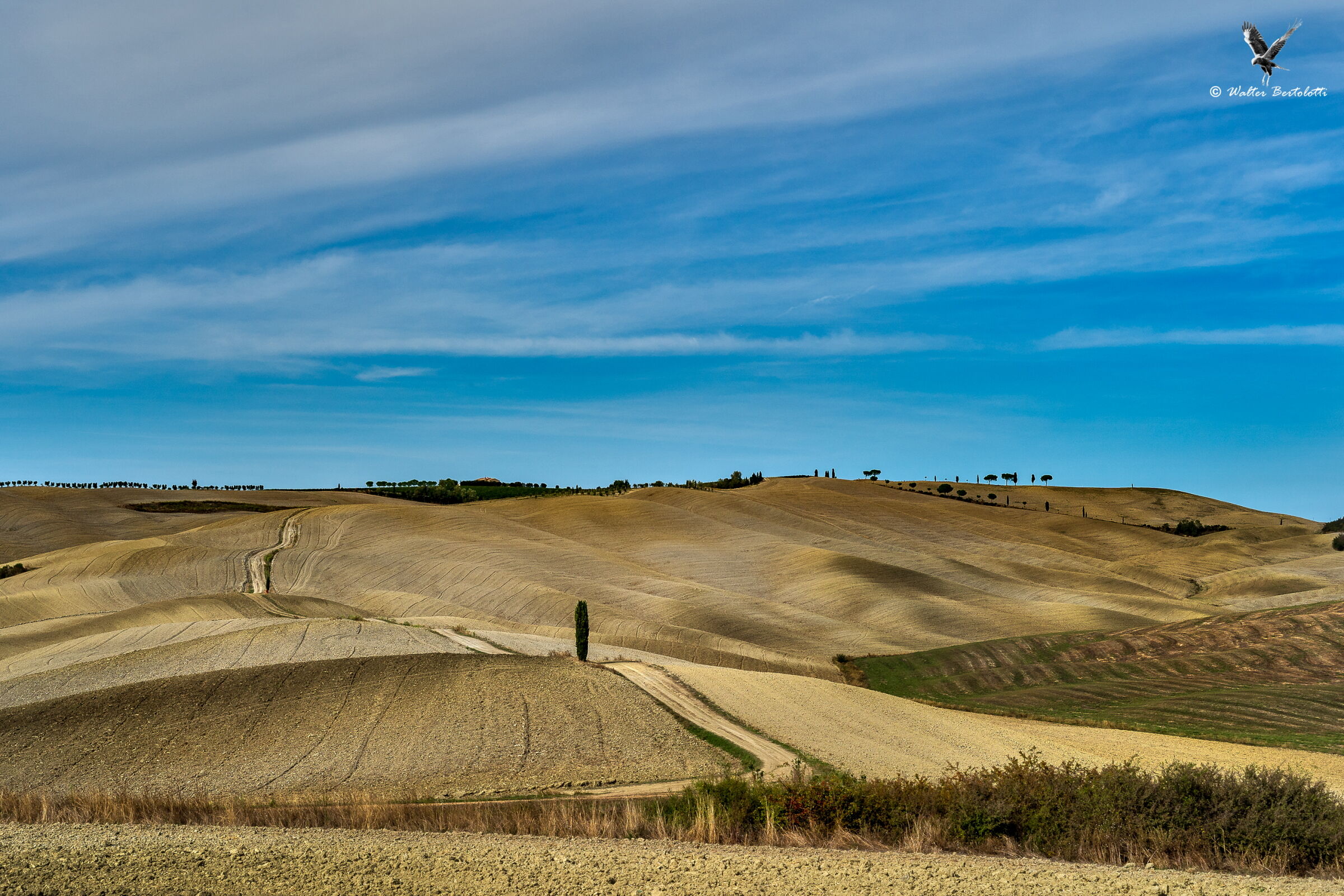 visions from the Val d'Orcia...