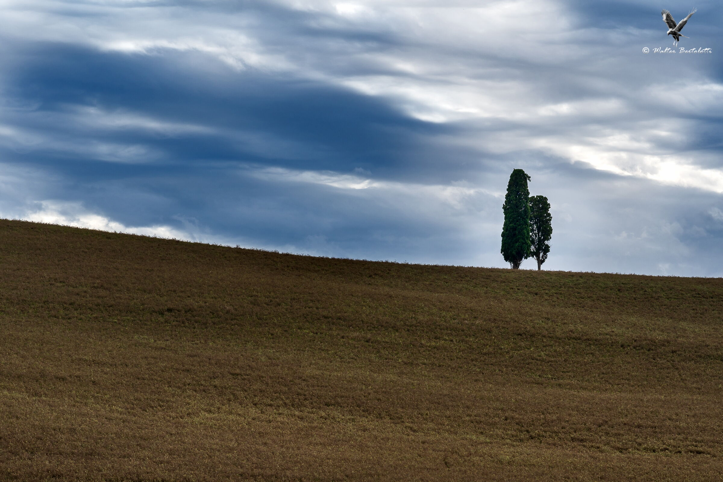 Visions from Val d'Orcia 2...