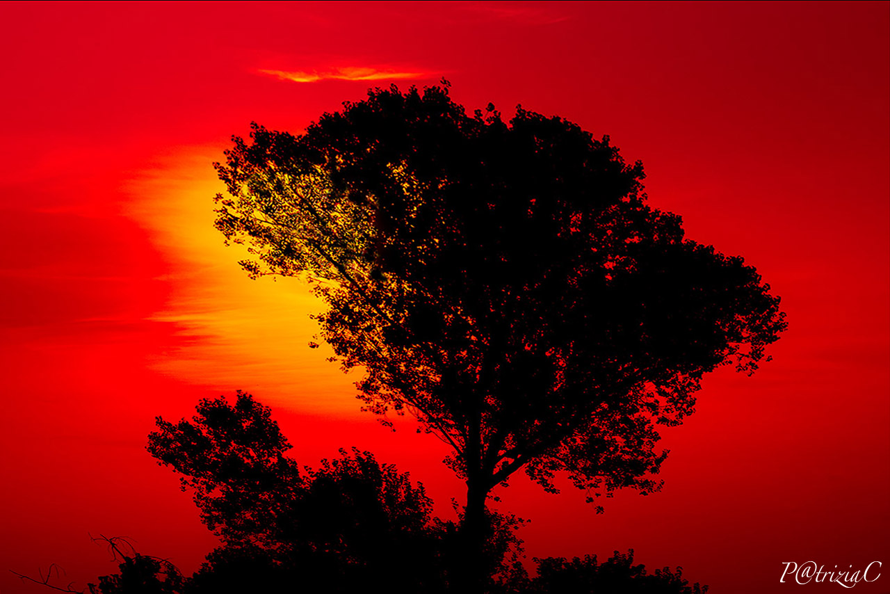 __red sunset__...