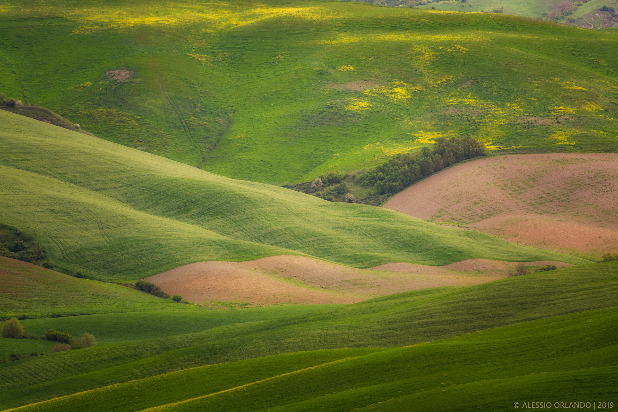 Green is the Tuscany...