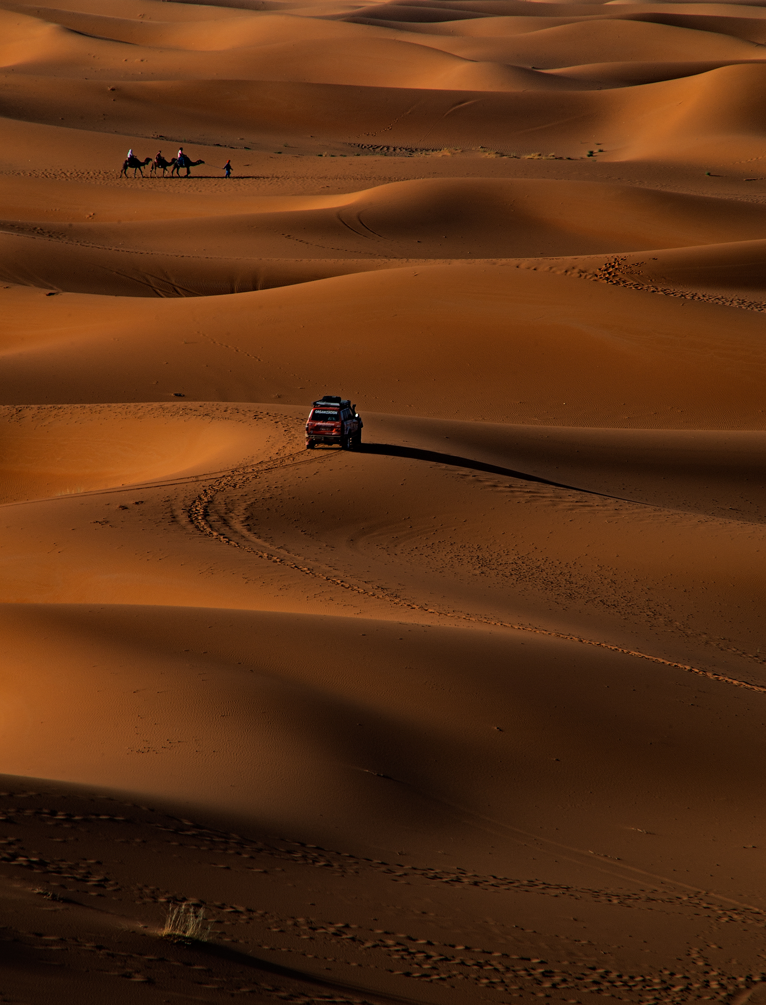 Desert travelers...