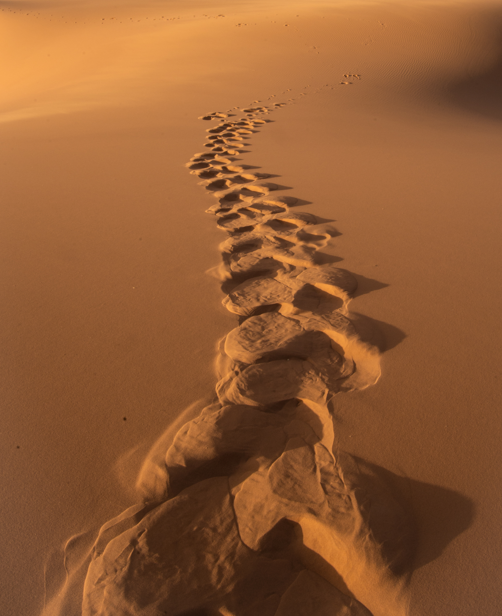 Tracks on the sand...