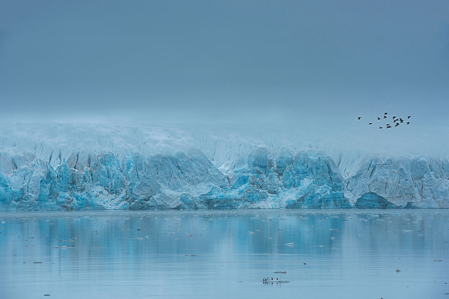 Lilliehookbreen Ice in the Fog - Svalbard...