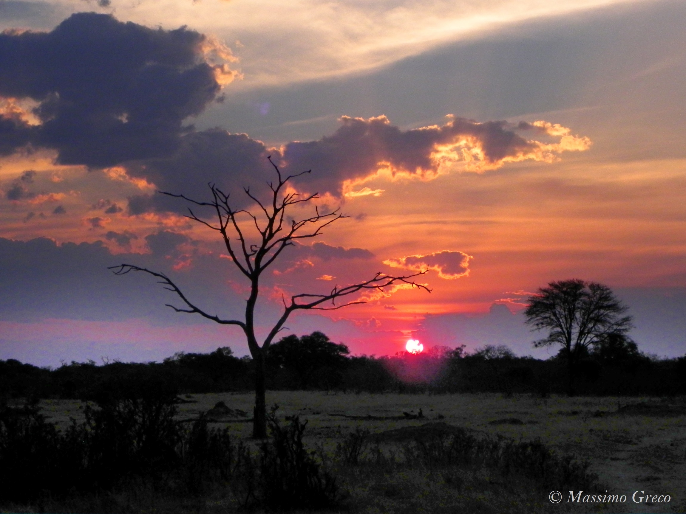 Tramonti indimenticabili -Hwange Nat. Park - Zimbabwe...