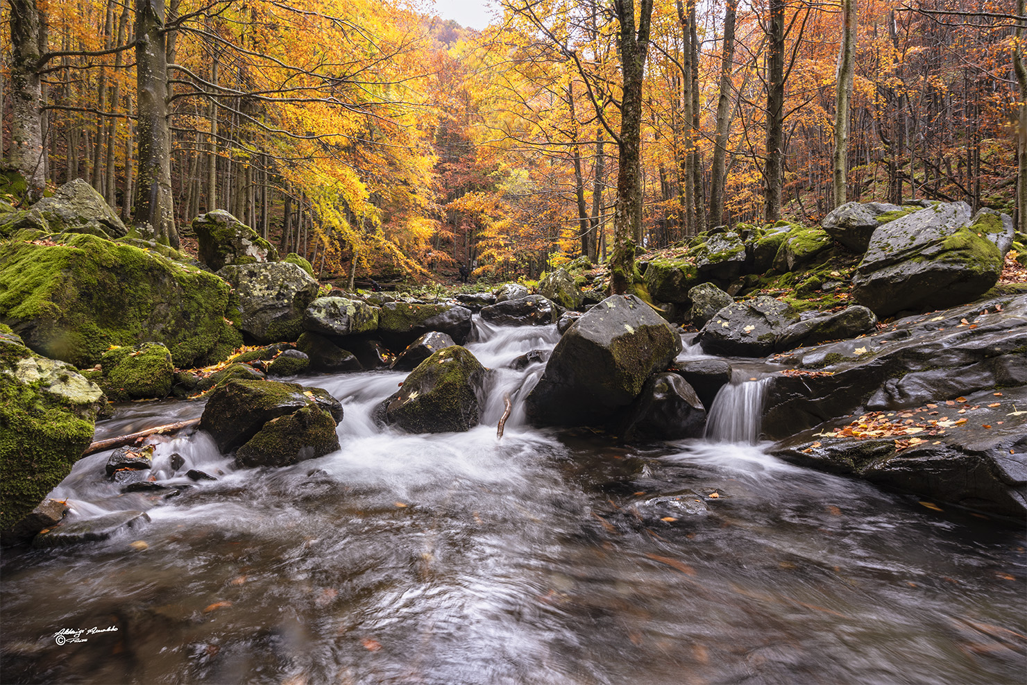 Il torrente e i suoi colori d'autunno...