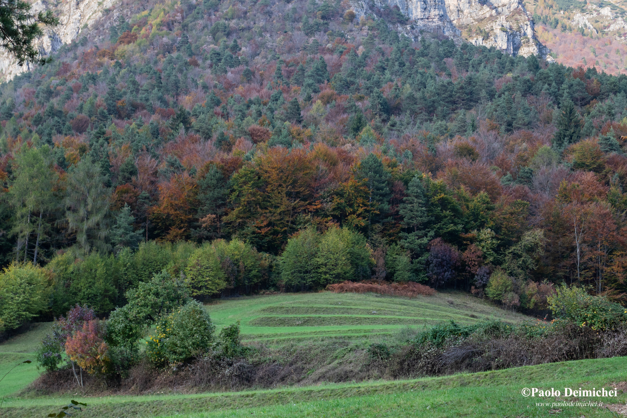 Autumn Colour Symphony in Ronchi Valley...