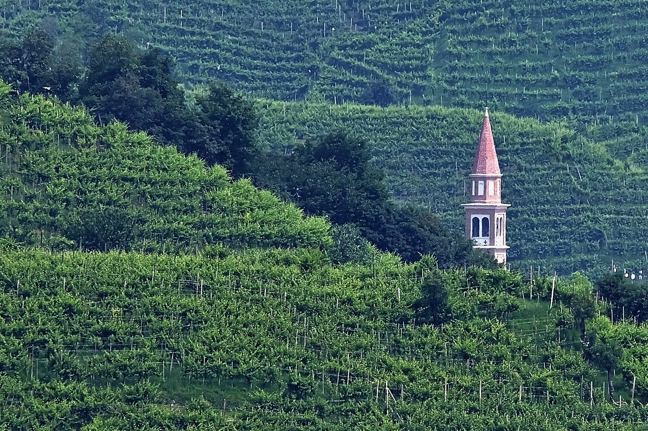The Hills of Prosecco...