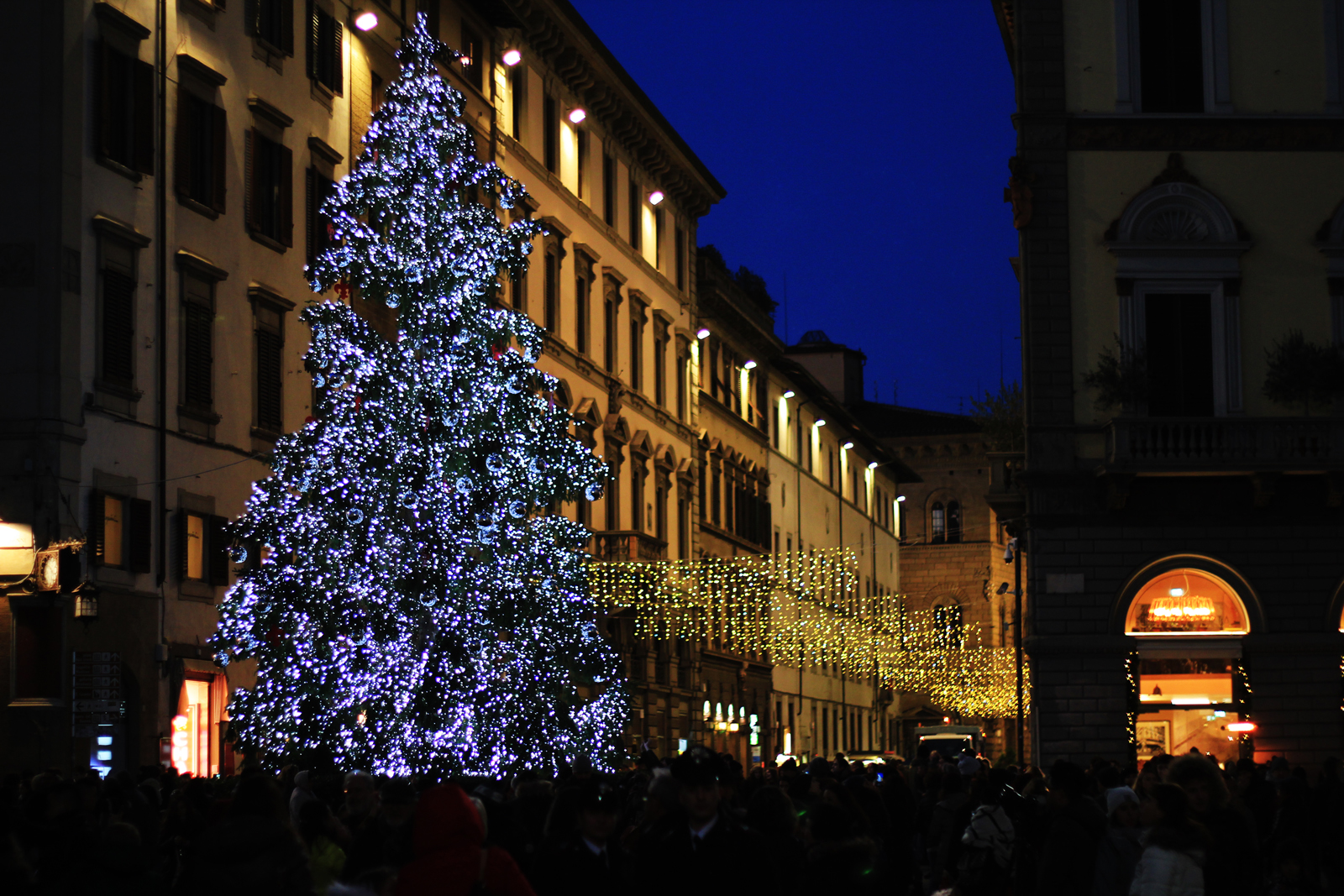 Christmas time in Florence...