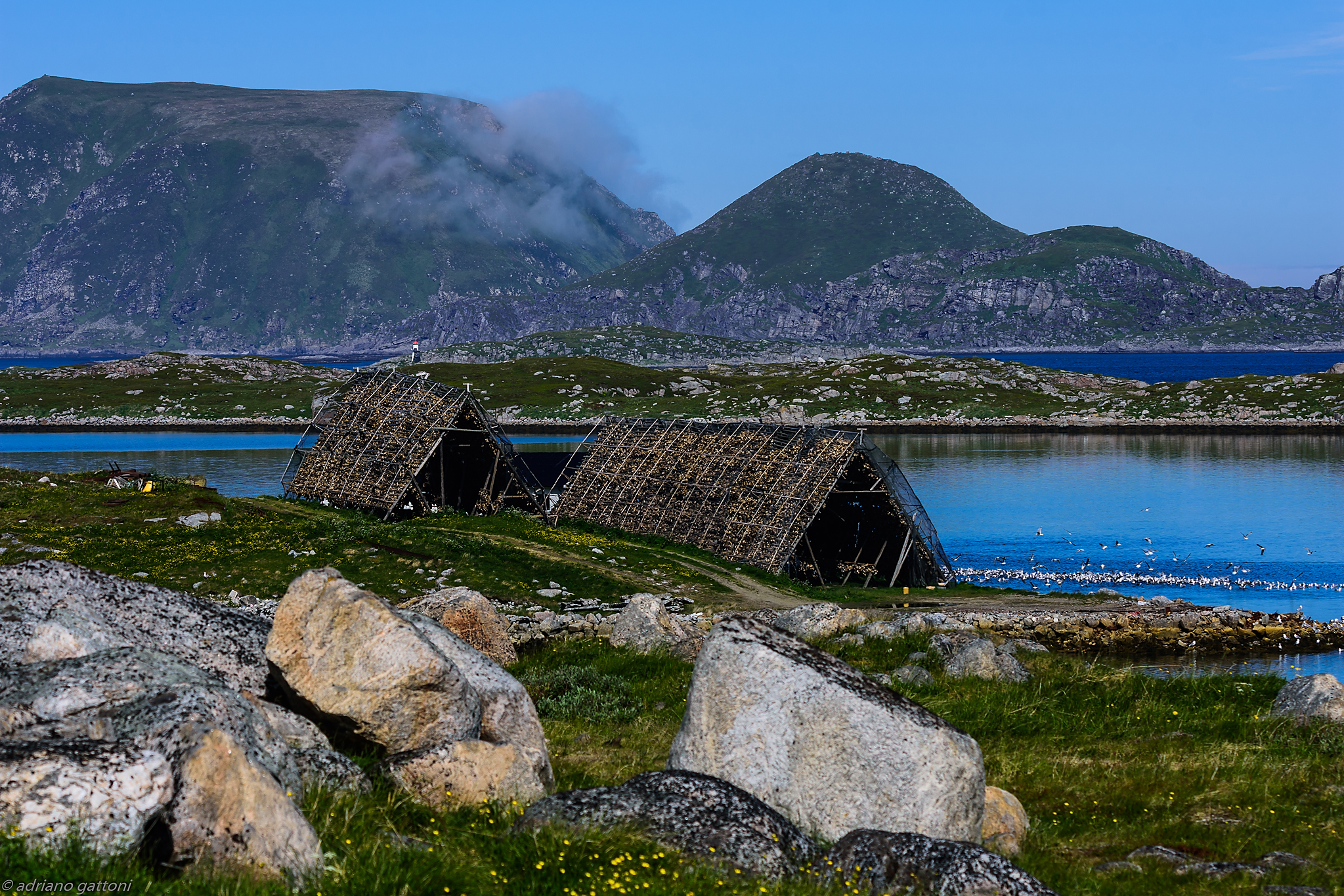 Cod dryers on the island of Nordkapp...