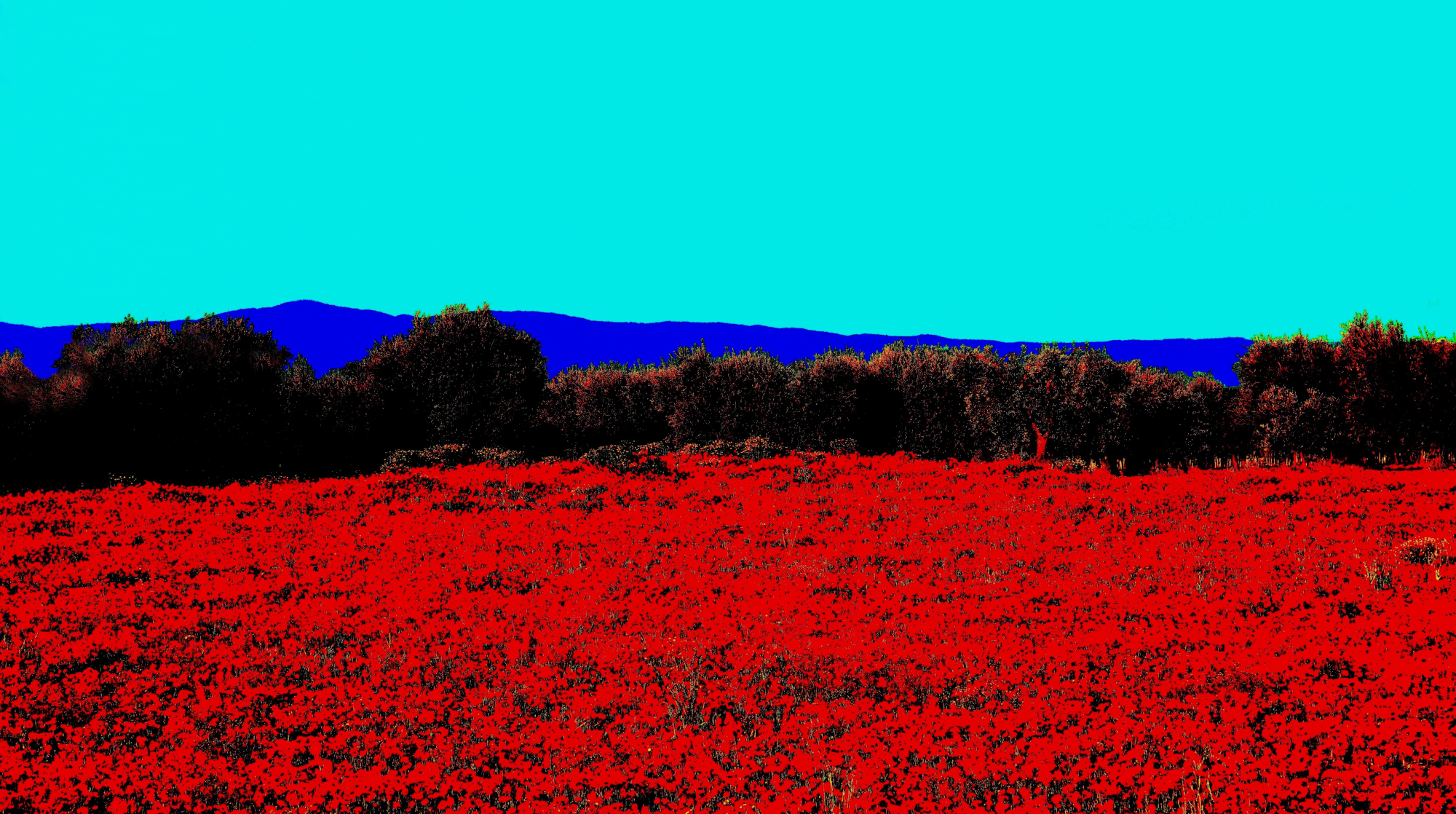 Red field...