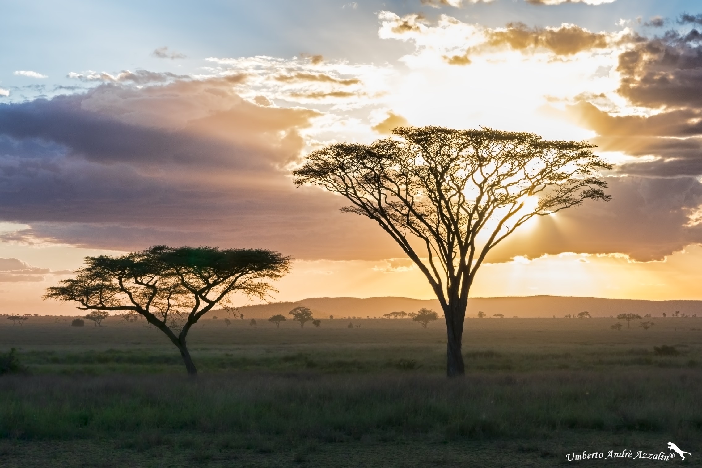 Sunset over the Serengeti...