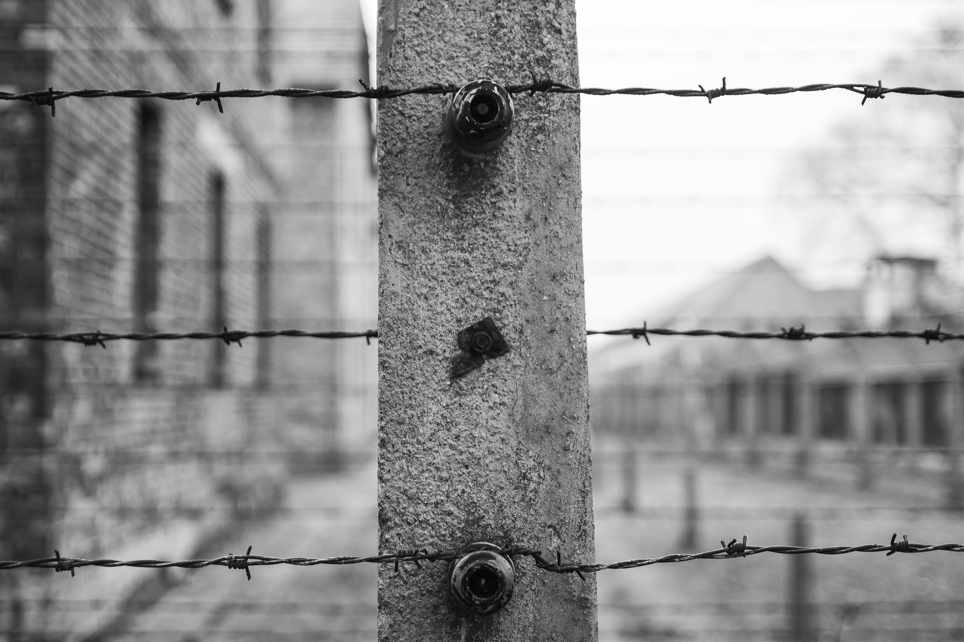 Auscwitz - barbed wire detail ...
