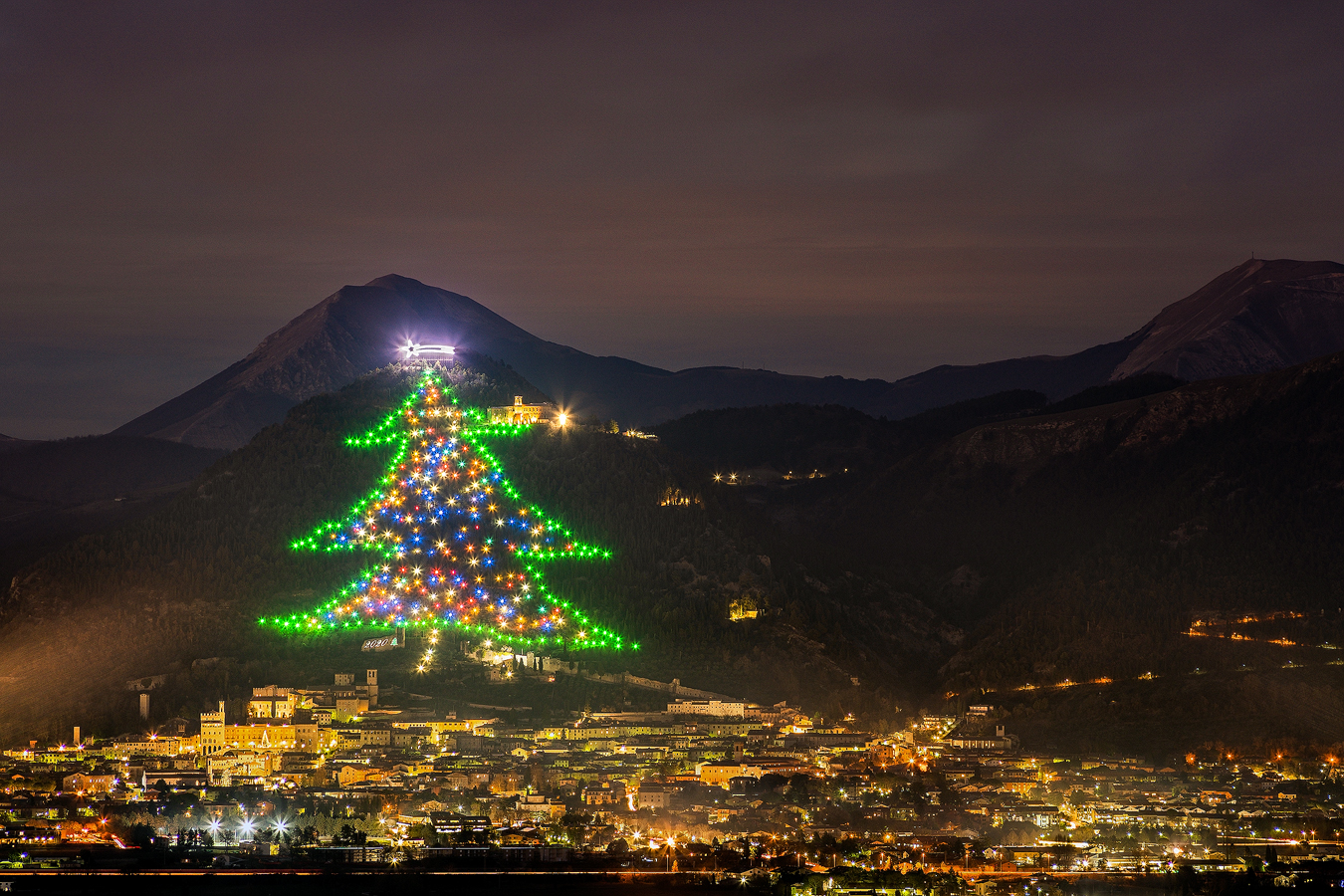 Il più grande albero di Natale al mondo...