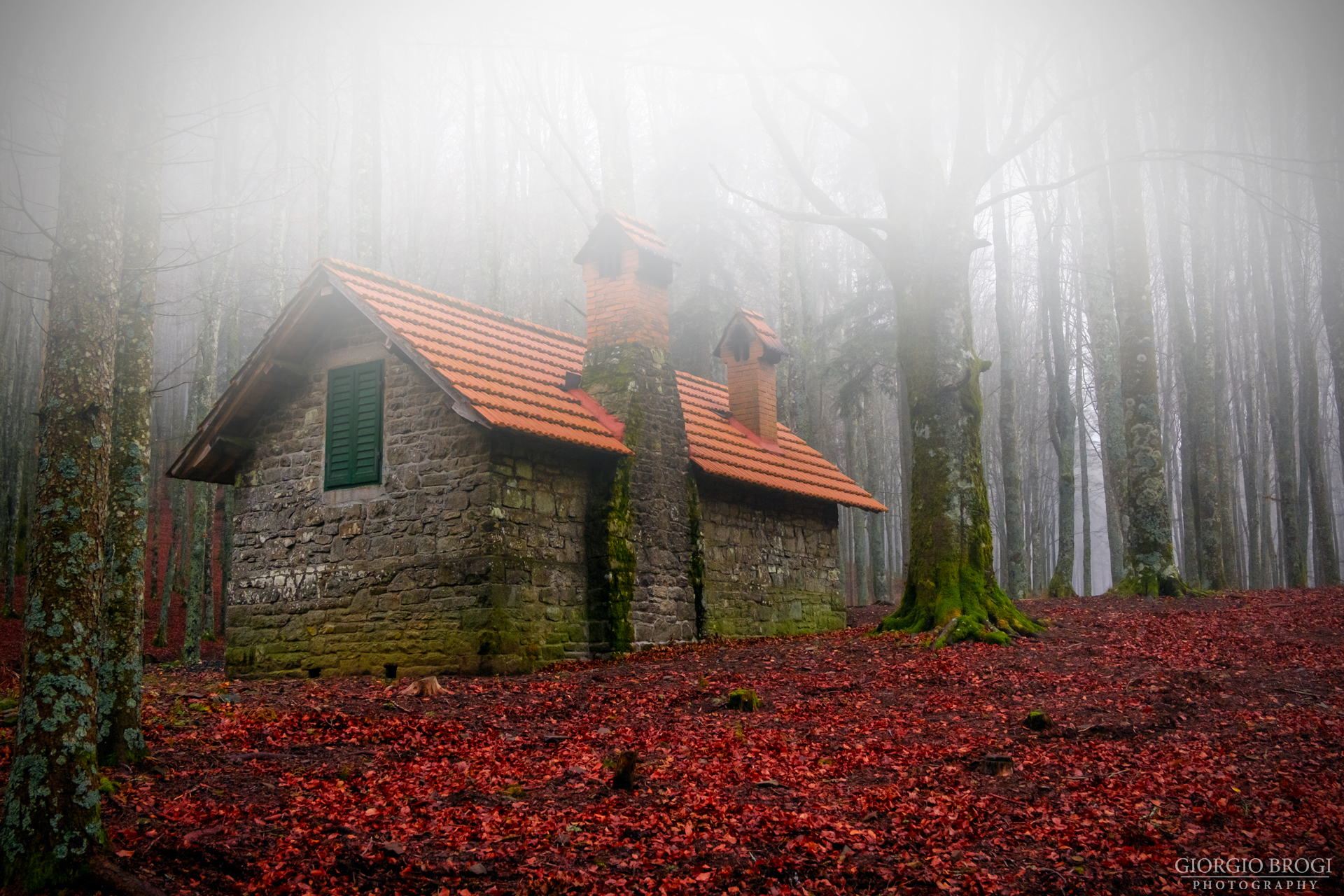 The Little House in the Fog...
