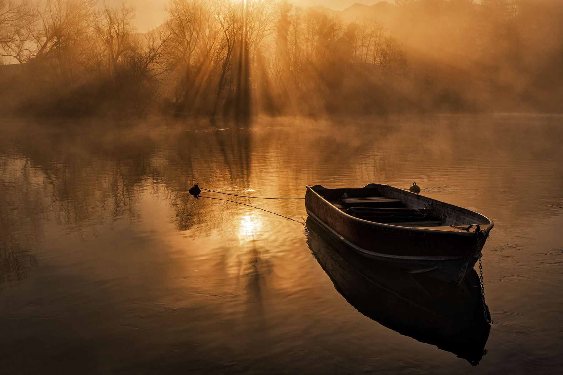 Mystical boat...
