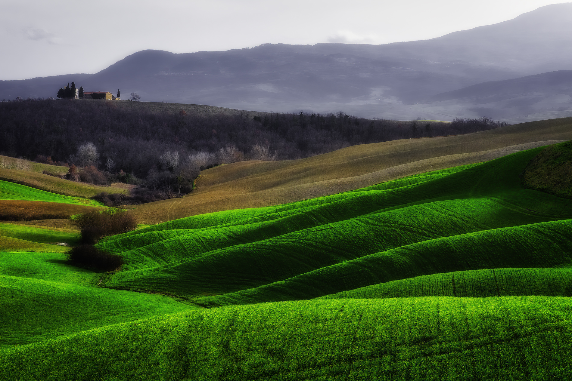 Val d'Orcia in February...