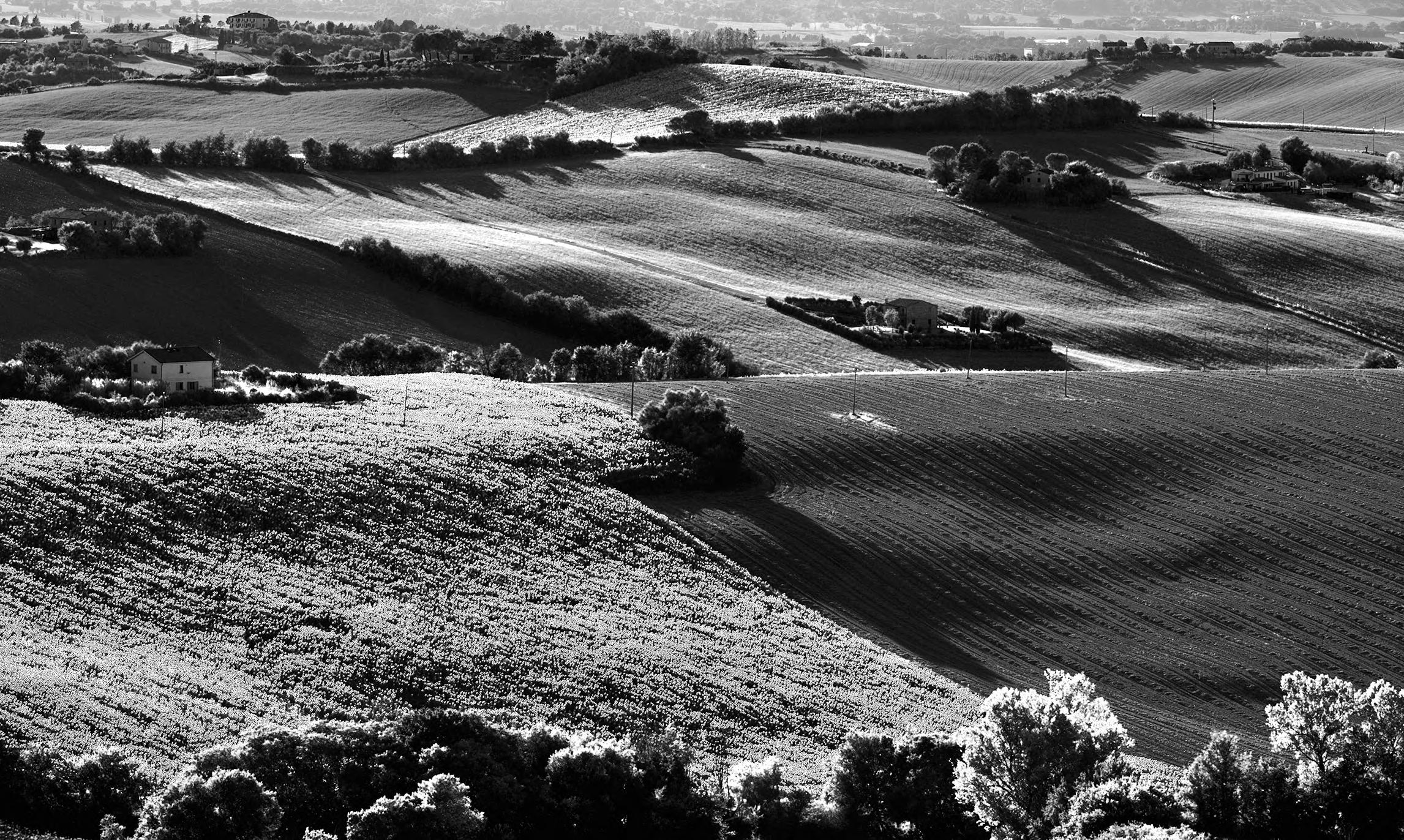 Summer on the Marche countryside...
