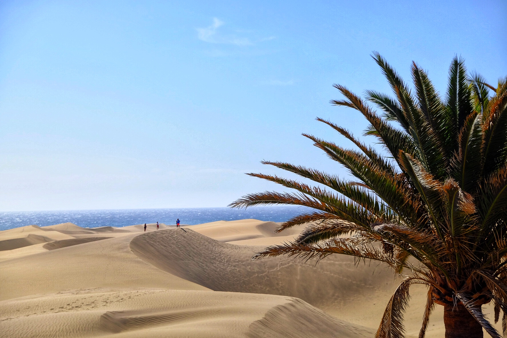 Maspalomas Dunes - Gran Canaria...